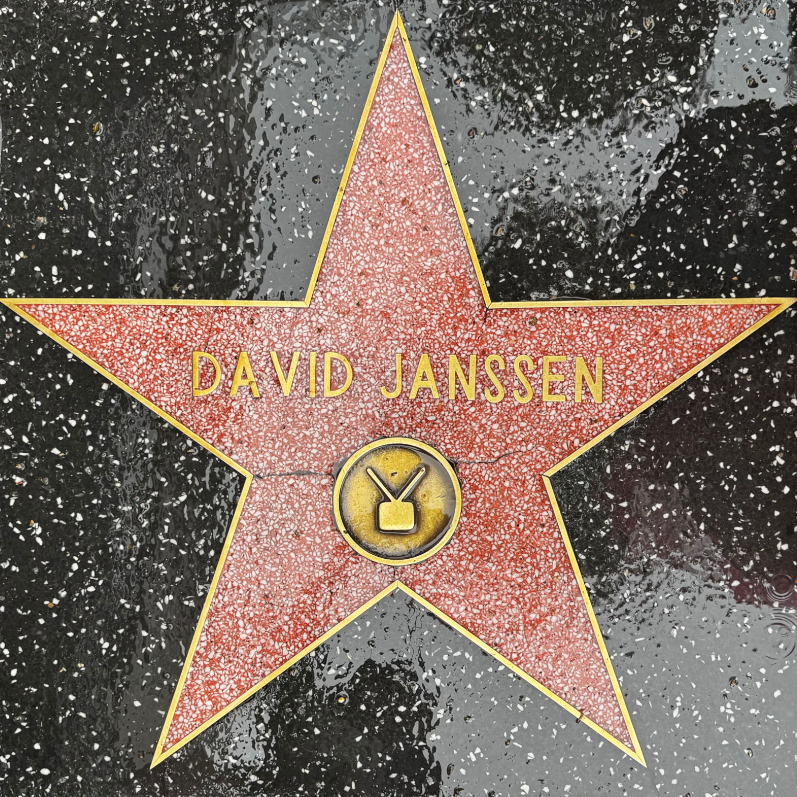 David Janssen's Television Star David Janssen's Television Star
