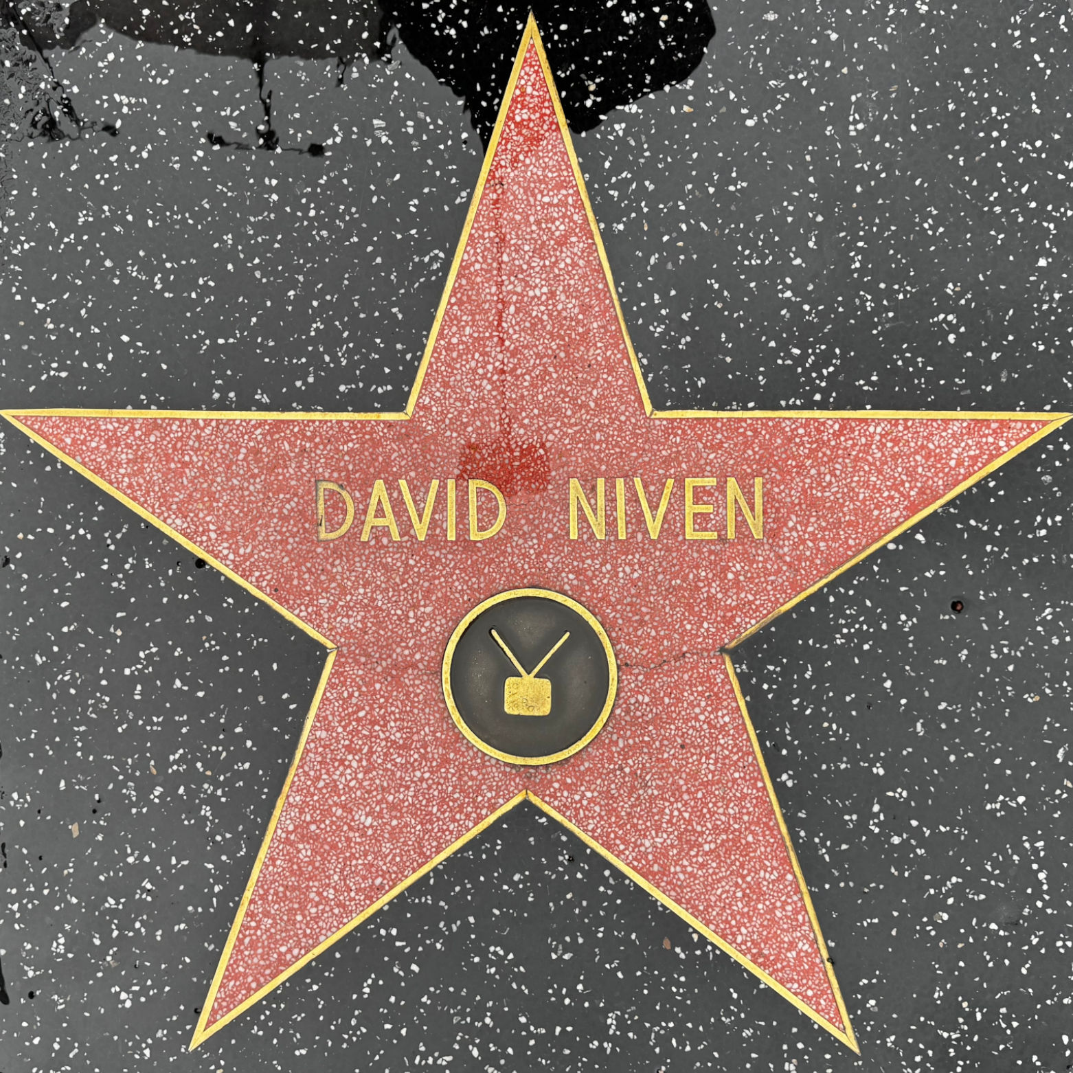 One of David Niven's Stars One of David Niven's Stars