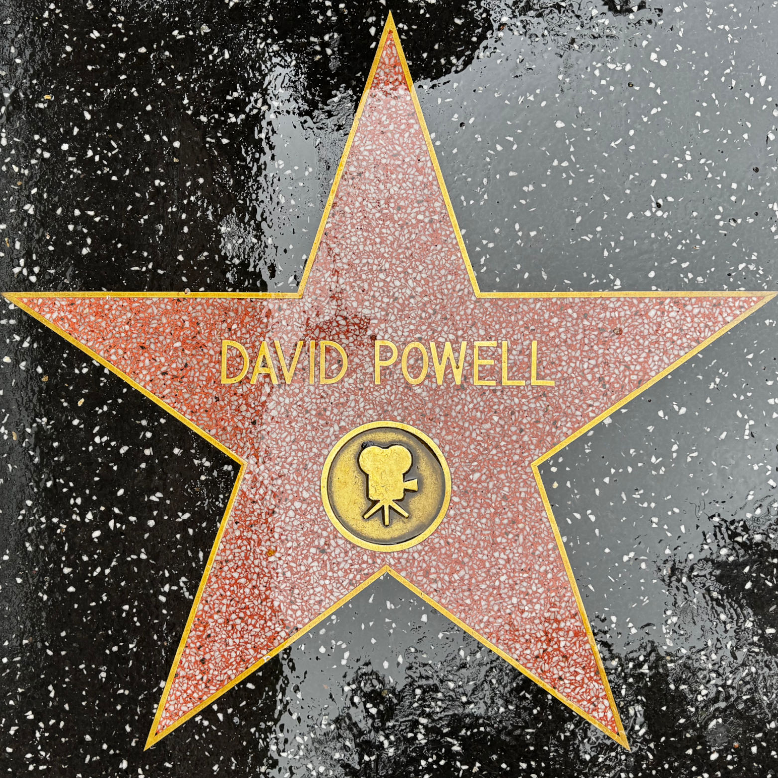 David Powell's Motion Pictures Star David Powell's Motion Pictures Star