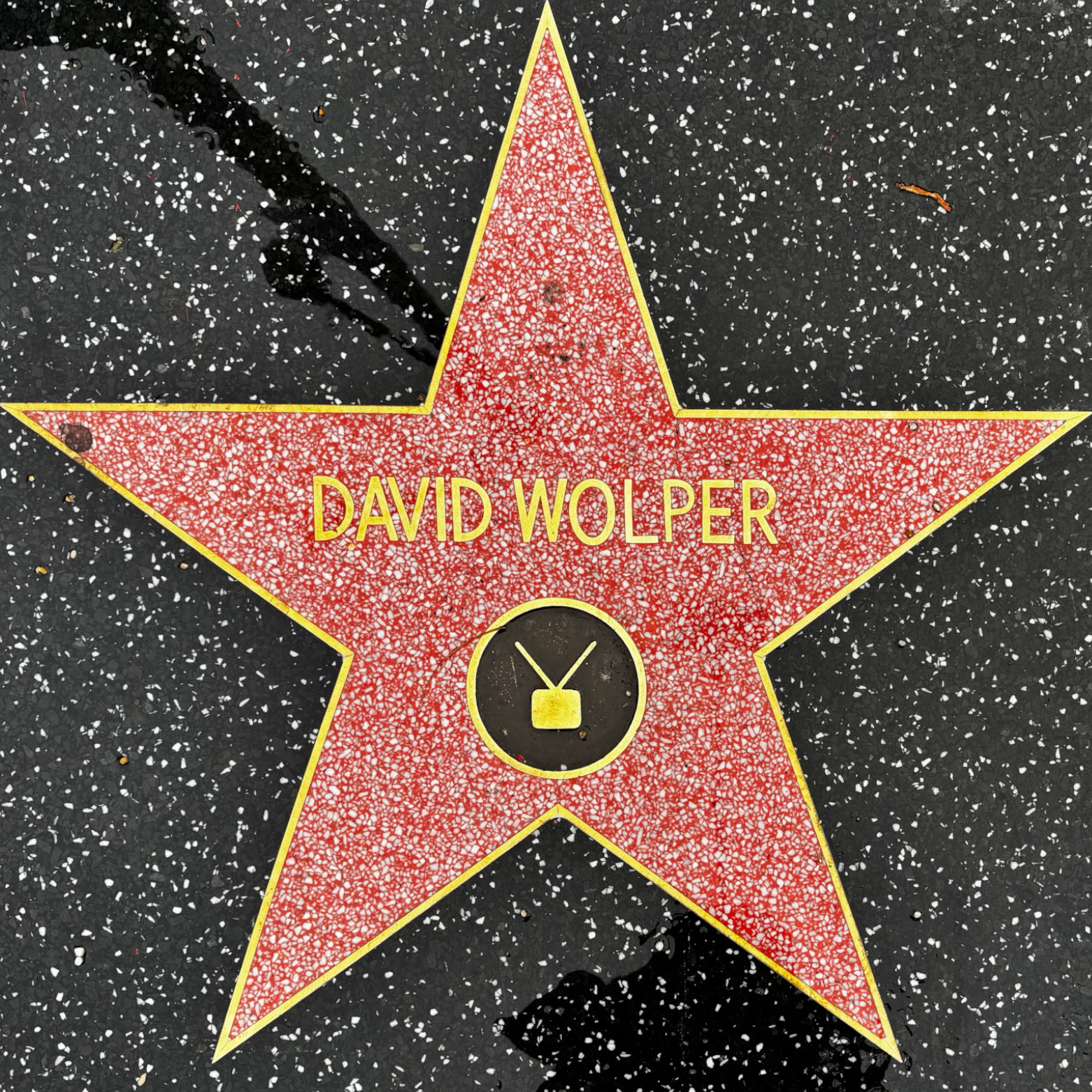 David Wolper's Television Star David Wolper's Television Star
