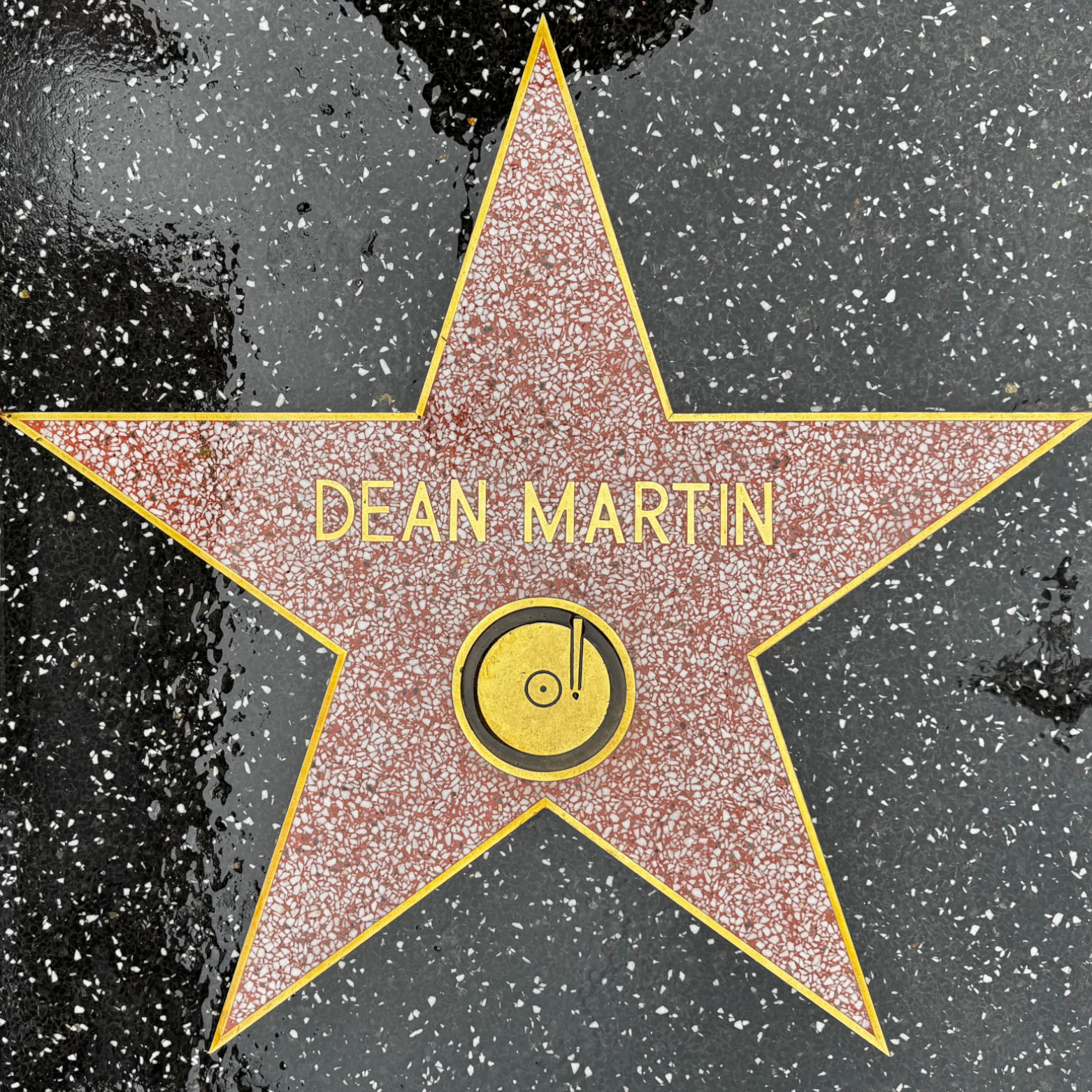 One of Dean Martin's Stars One of Dean Martin's Stars