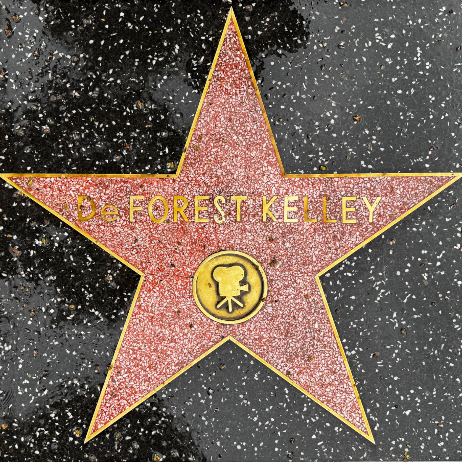 DeForest Kelley's Motion Pictures Star DeForest Kelley's Motion Pictures Star