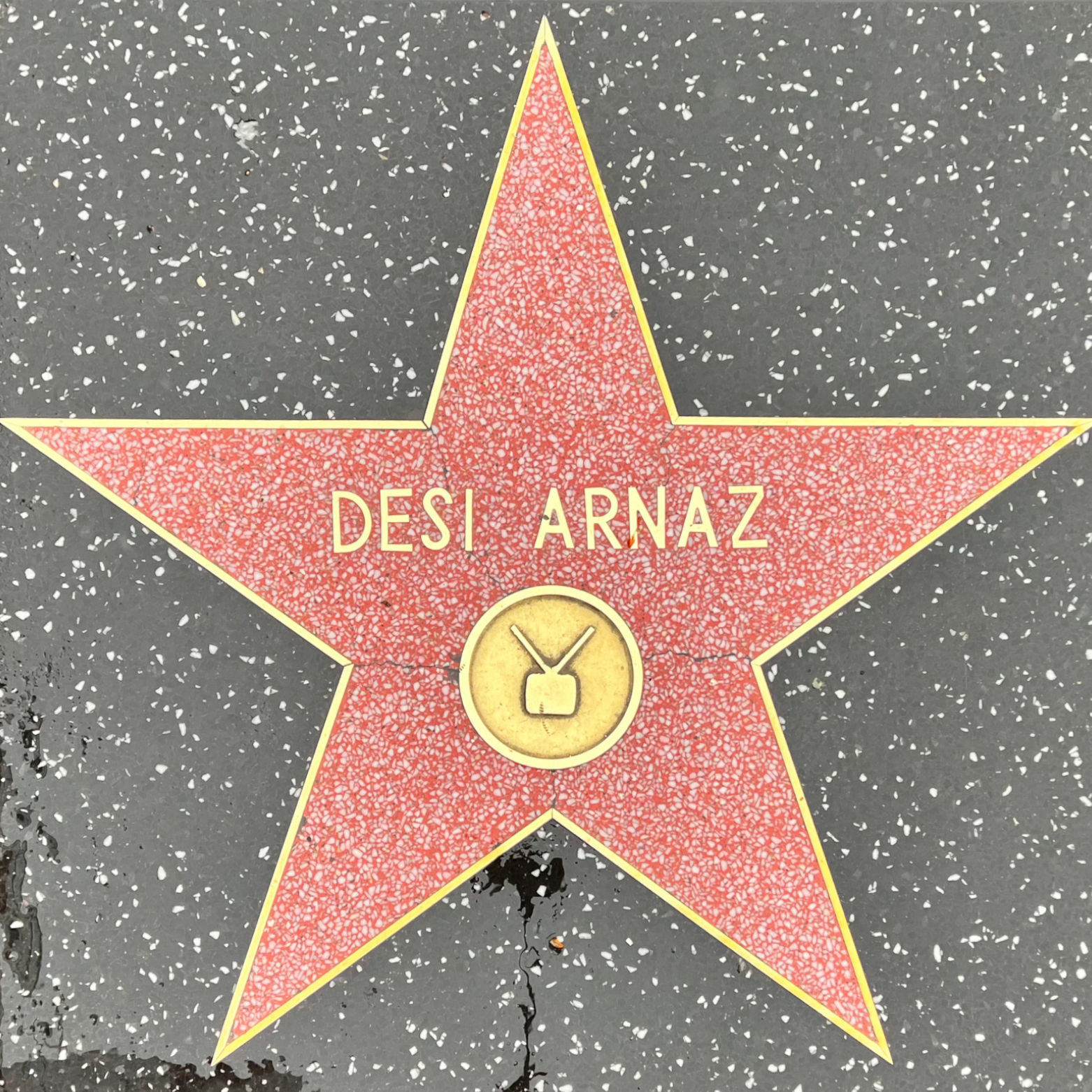 Desi Arnaz's Television Star