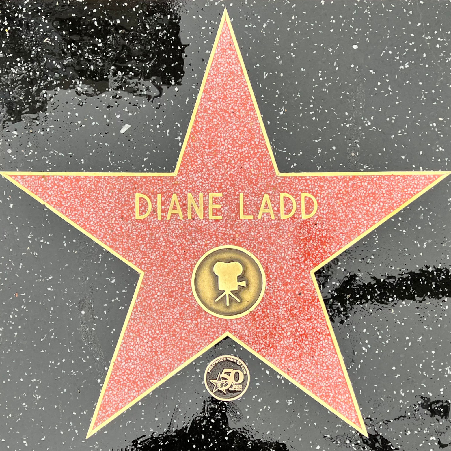 Diane Ladd's Motion Pictures Star