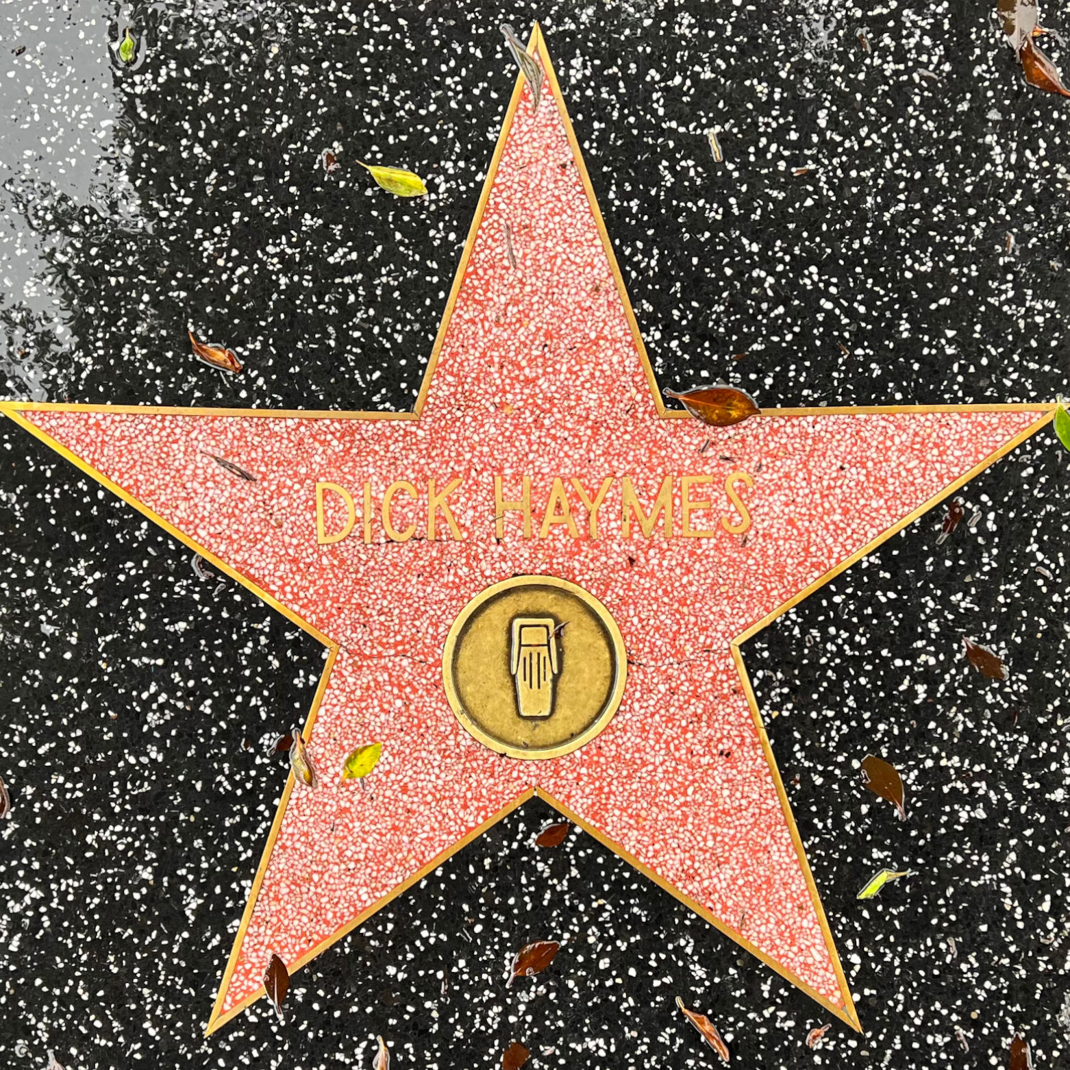 Dick Haymes's Radio Star