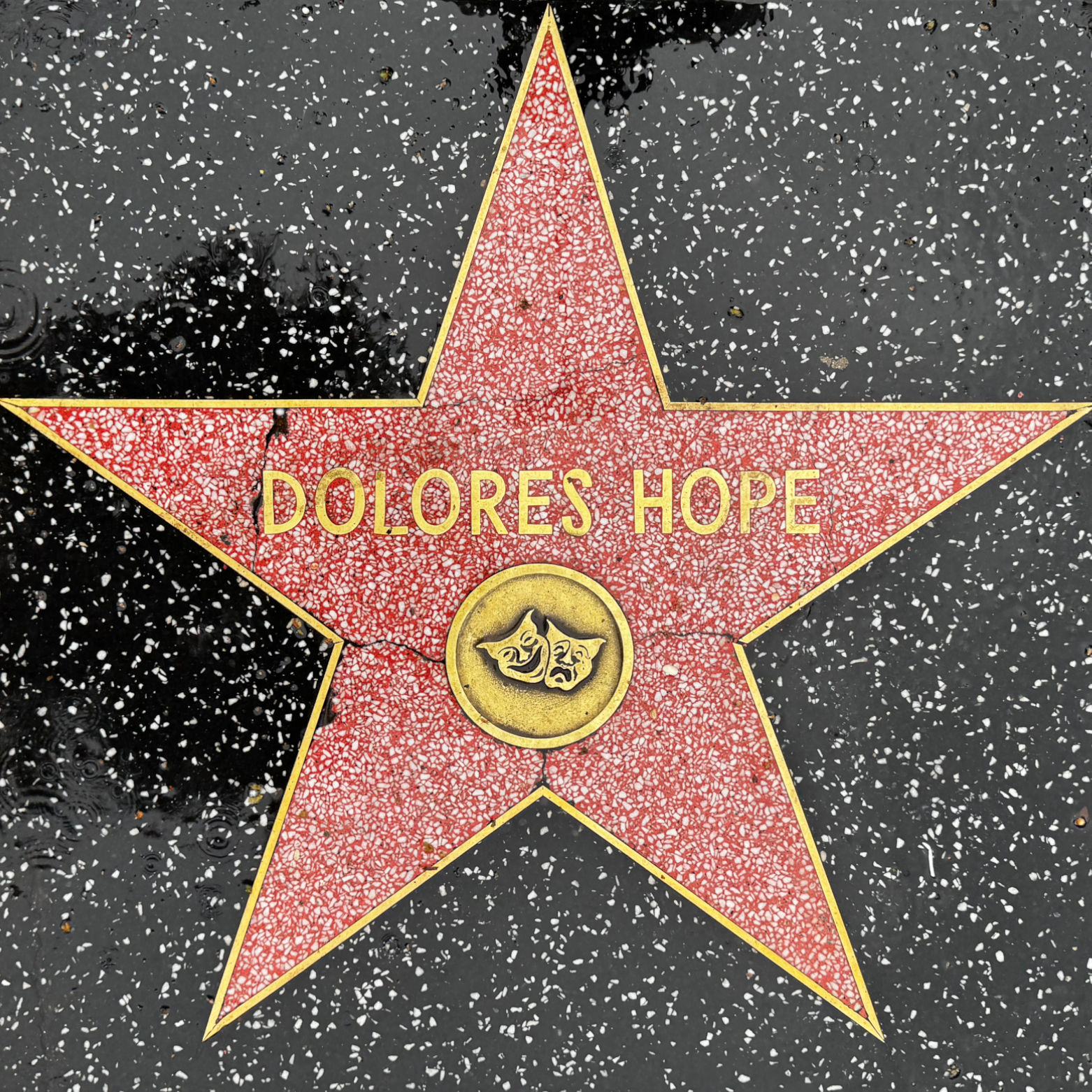 Dolores Hope's Live Performance Star Dolores Hope's Live Performance Star