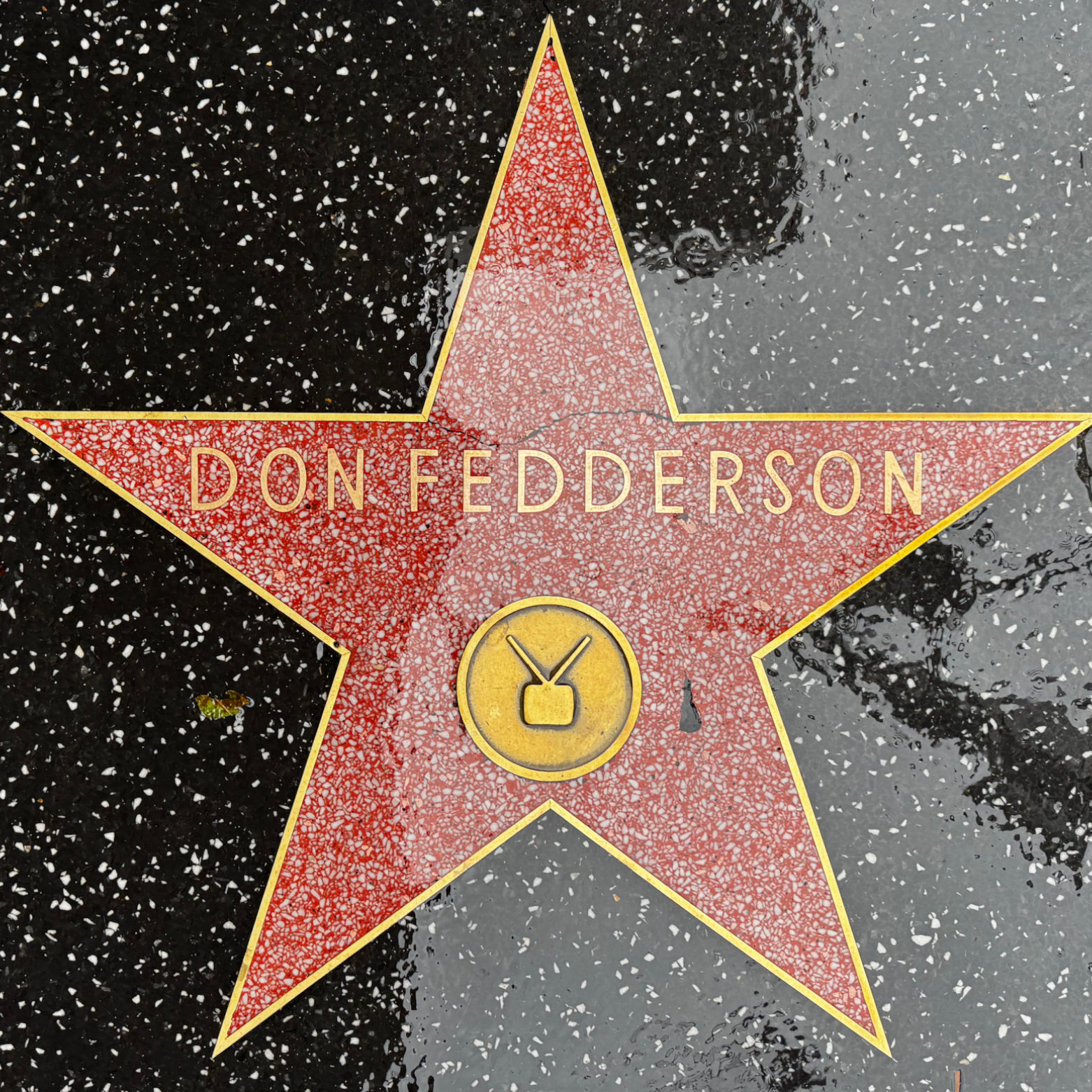 Don Fedderson's Television Star Don Fedderson's Television Star