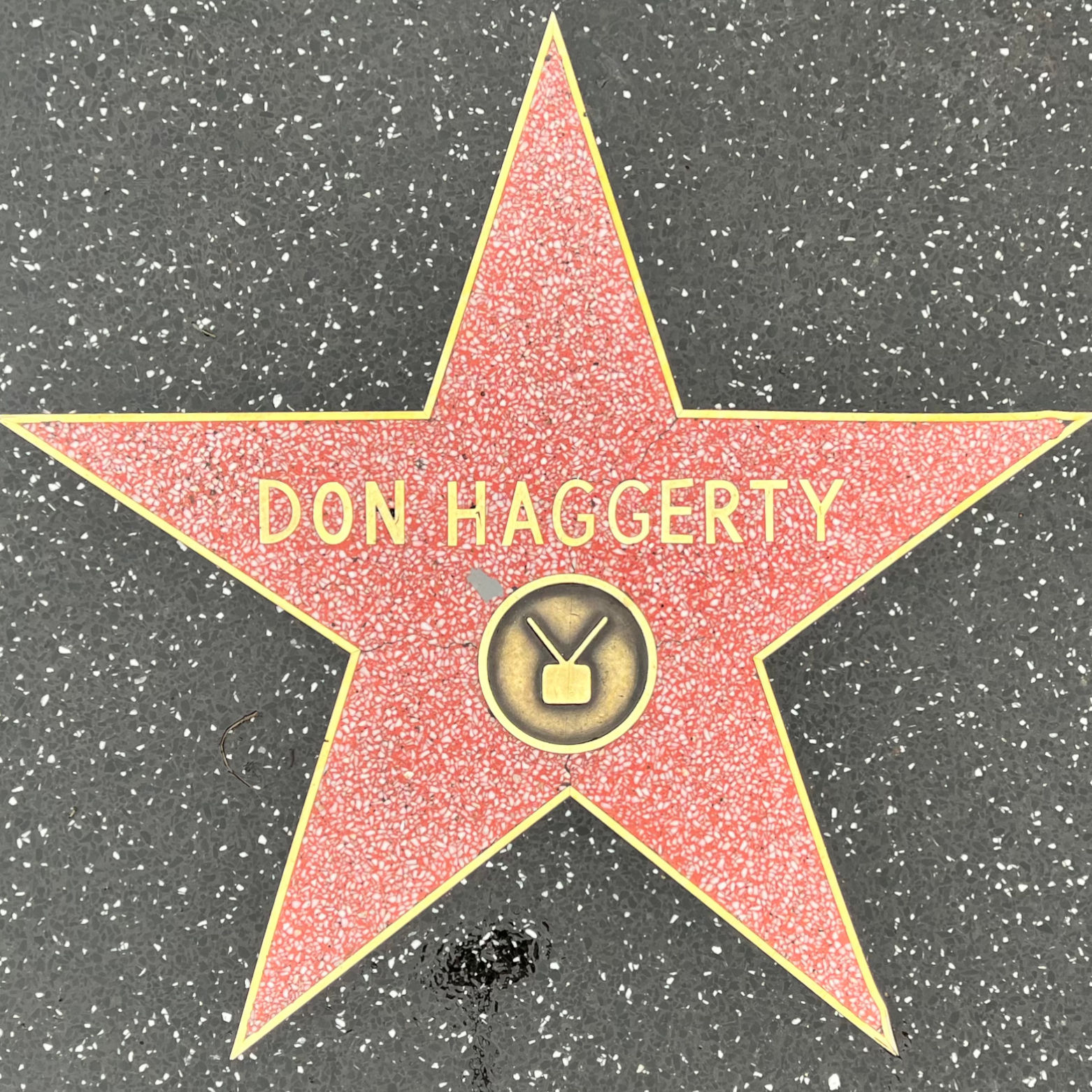 Don Haggerty's Television Star
