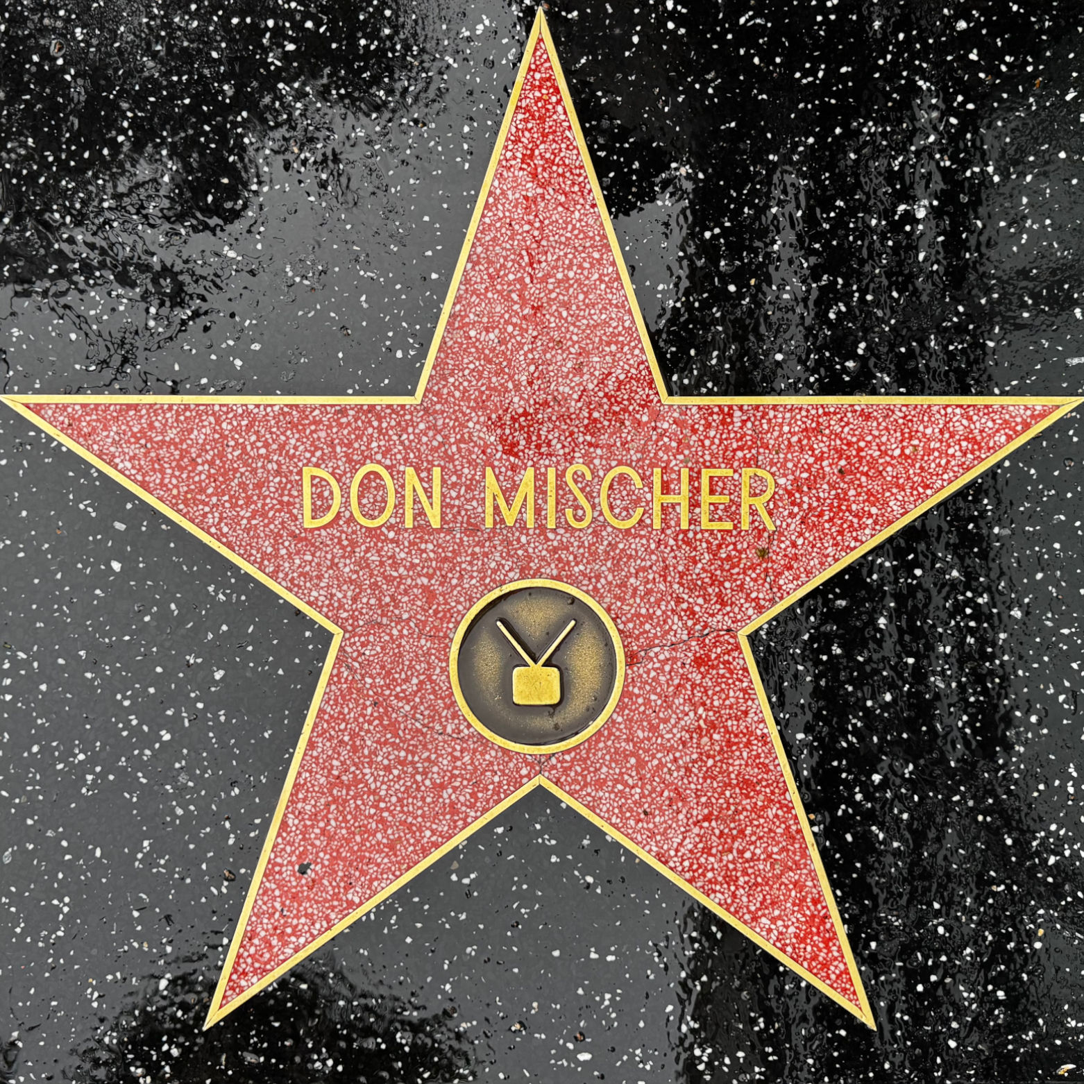 Don Mischer's Television Star Don Mischer's Television Star