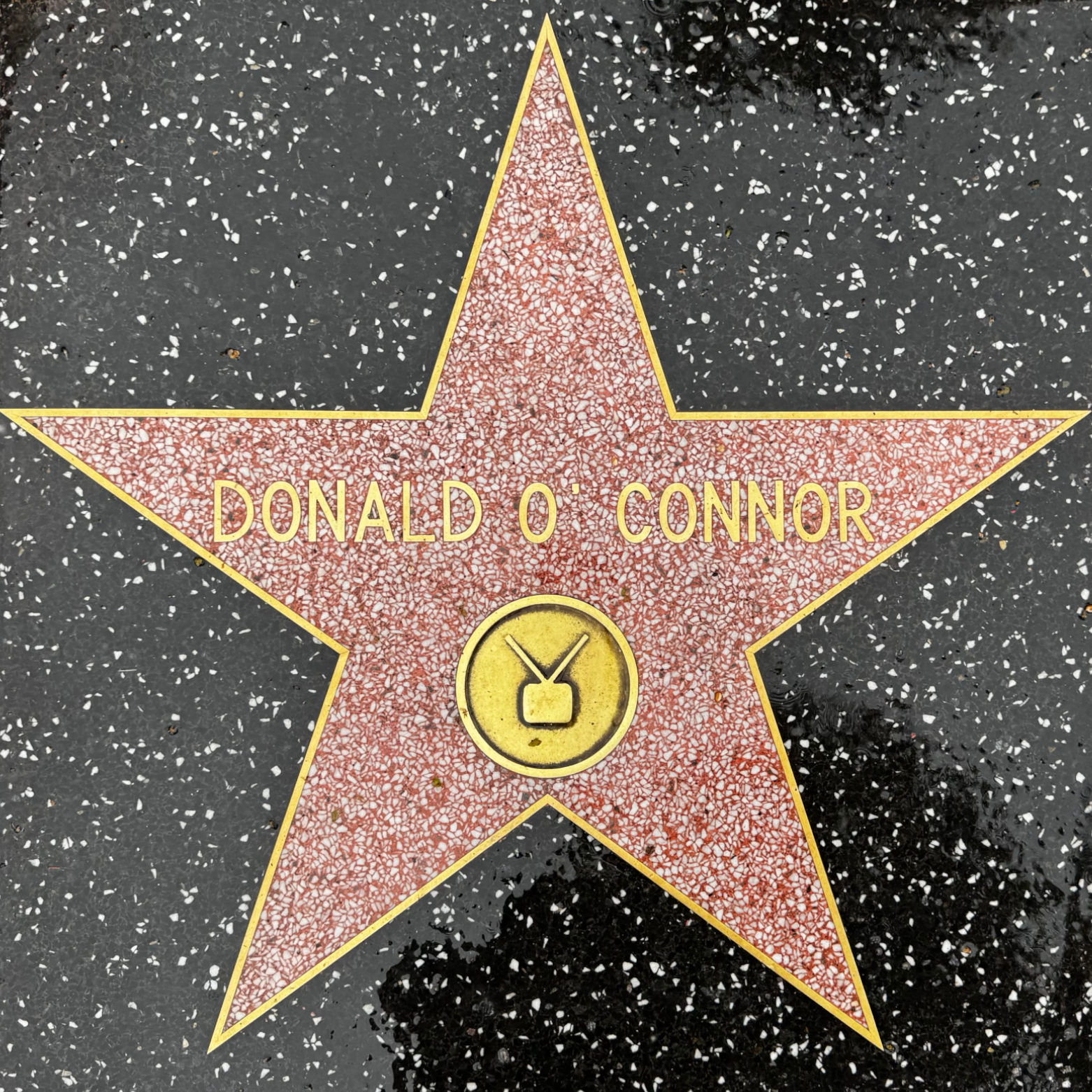 One of Donald O'Connor's Stars