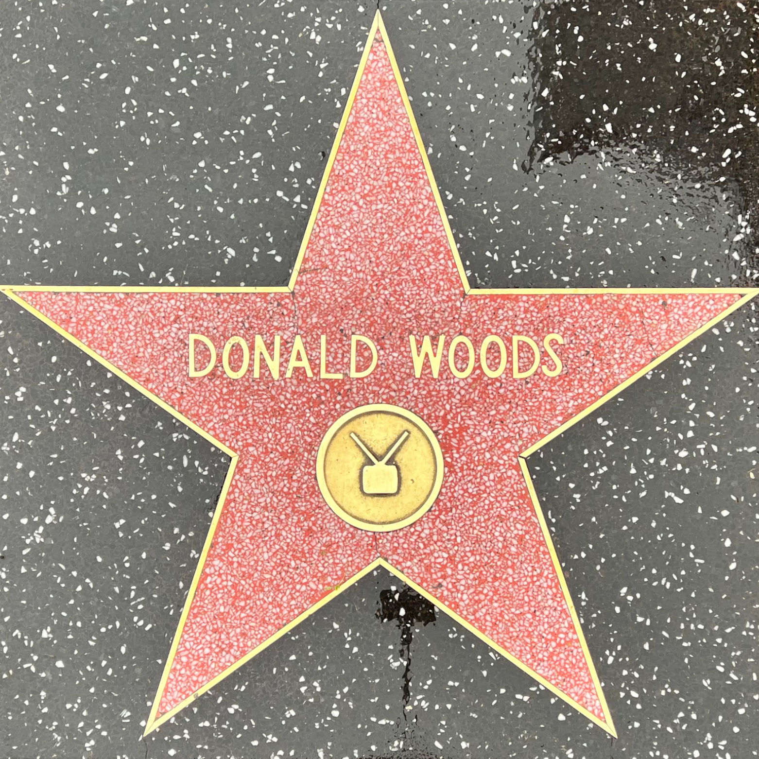Donald Woods's Television Star