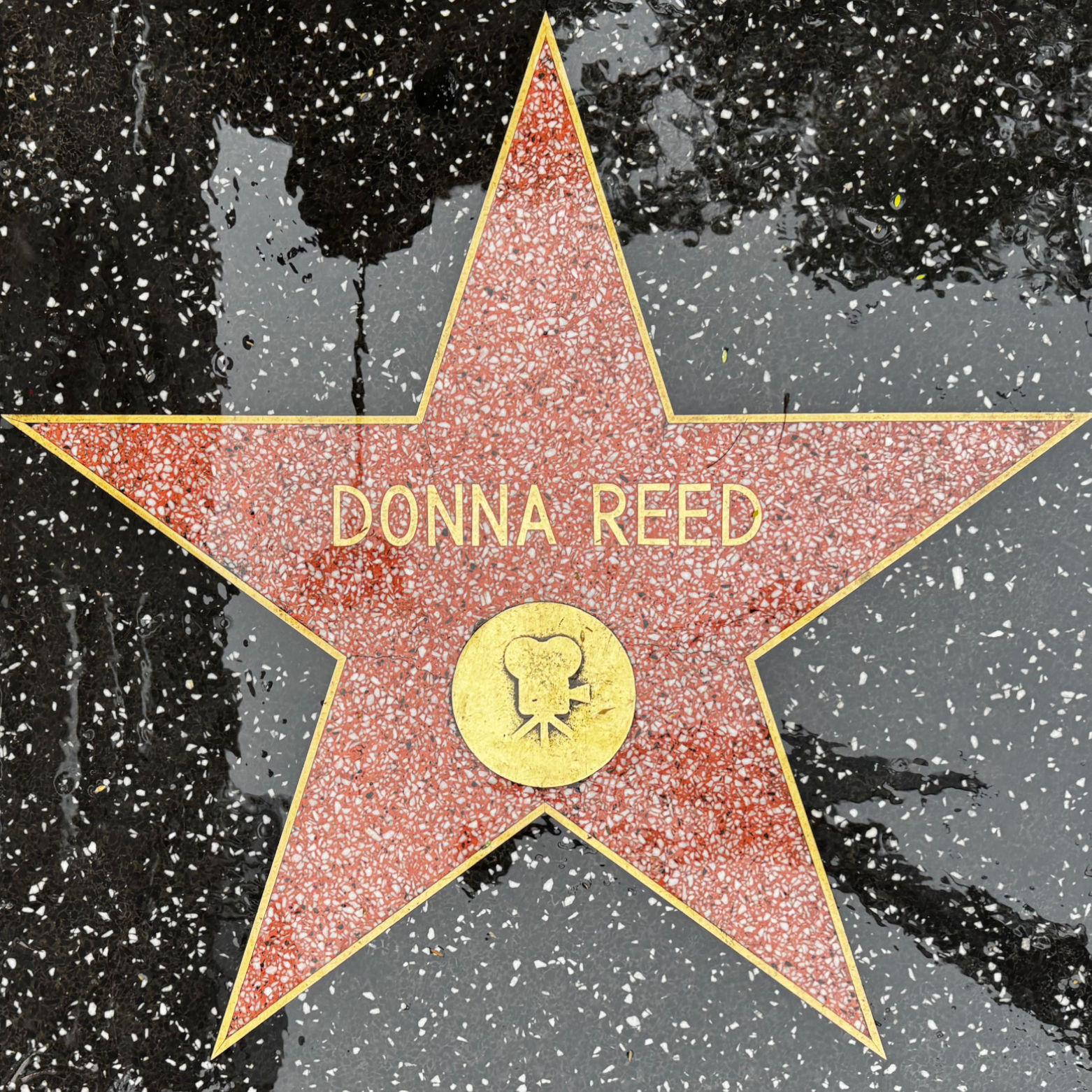 Donna Reed's Motion Pictures Star Donna Reed's Motion Pictures Star