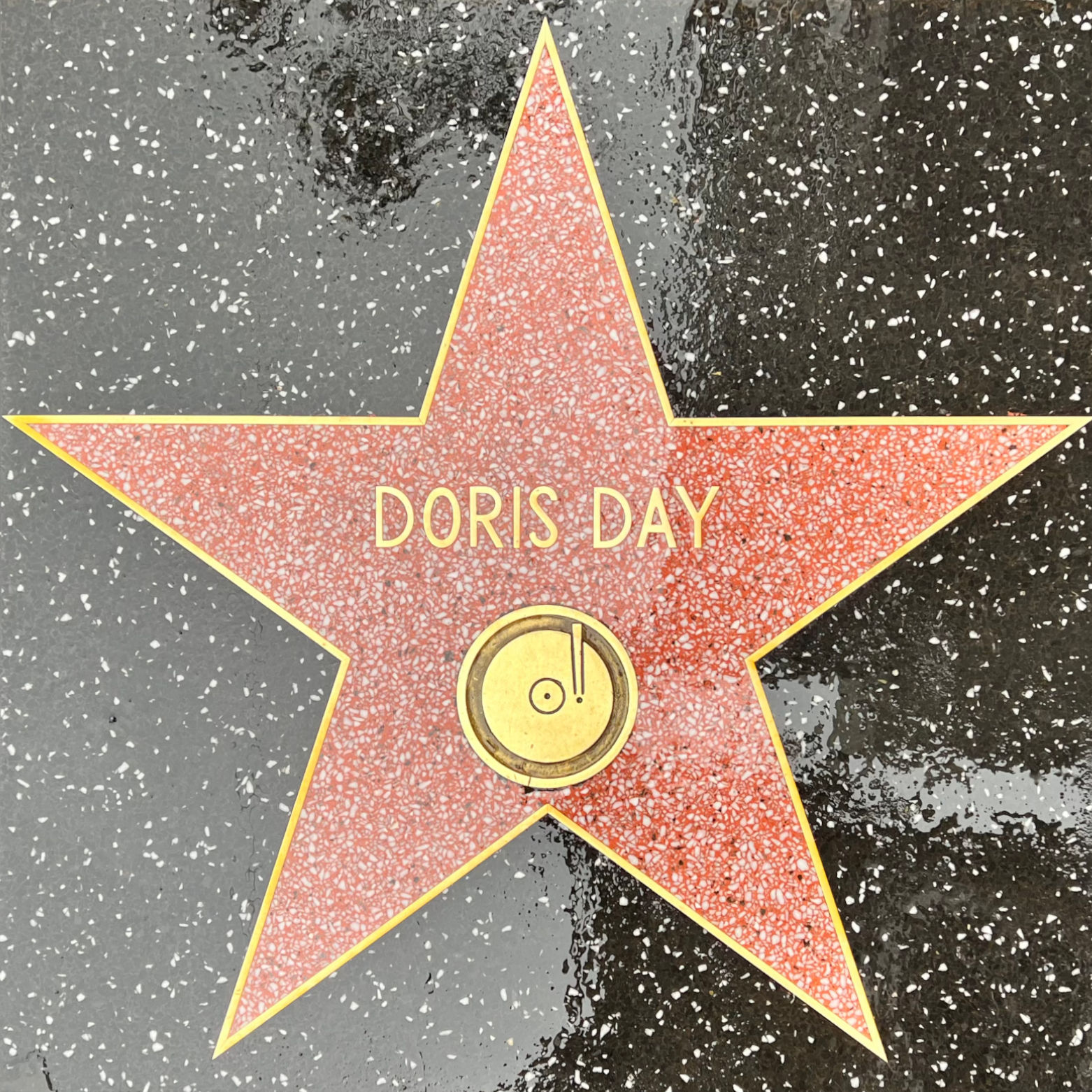 Doris Day's Recording Star