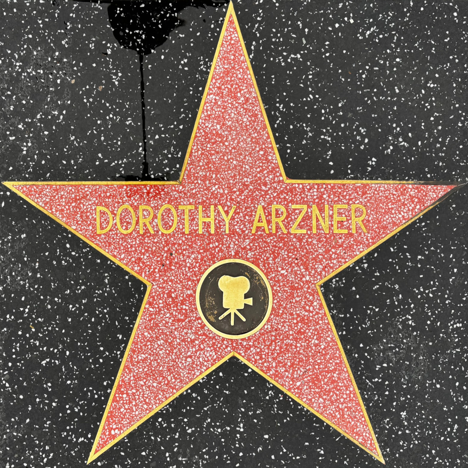 Dorothy Arzner's Motion Pictures Star