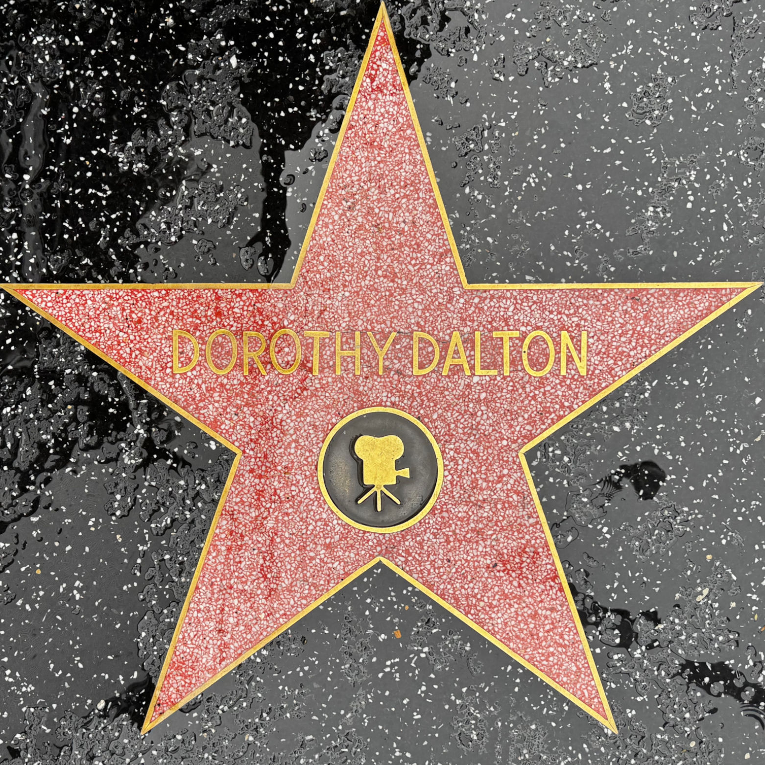 Dorothy Dalton's Motion Pictures Star