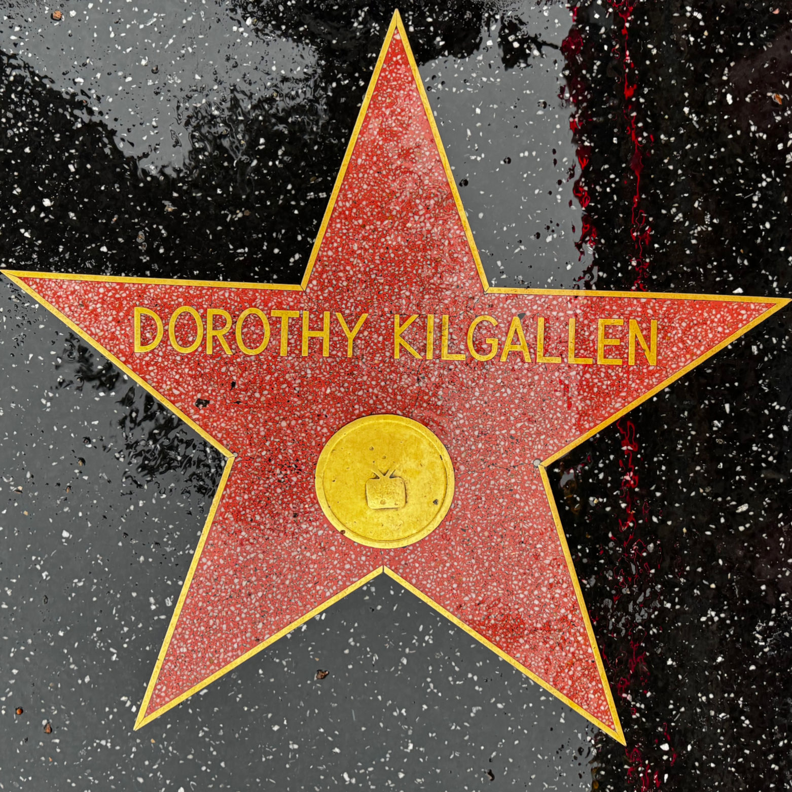 Dorothy Kilgallen's Television Star Dorothy Kilgallen's Television Star