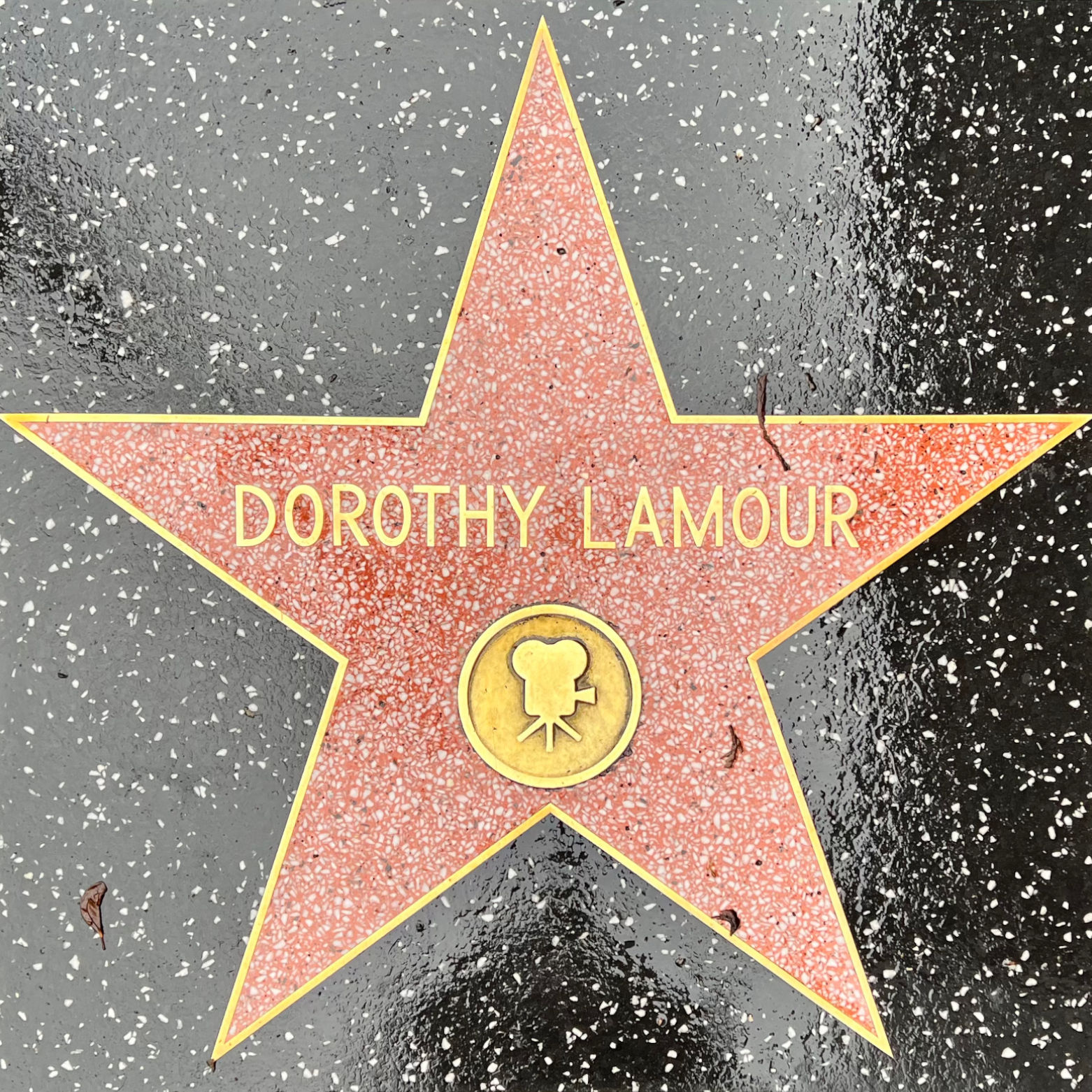 Dorothy Lamour's Motion Pictures Star