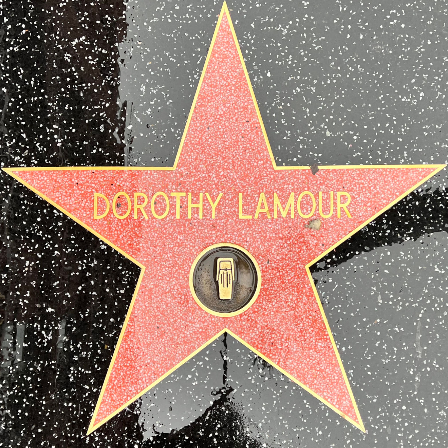Dorothy Lamour's Radio Star