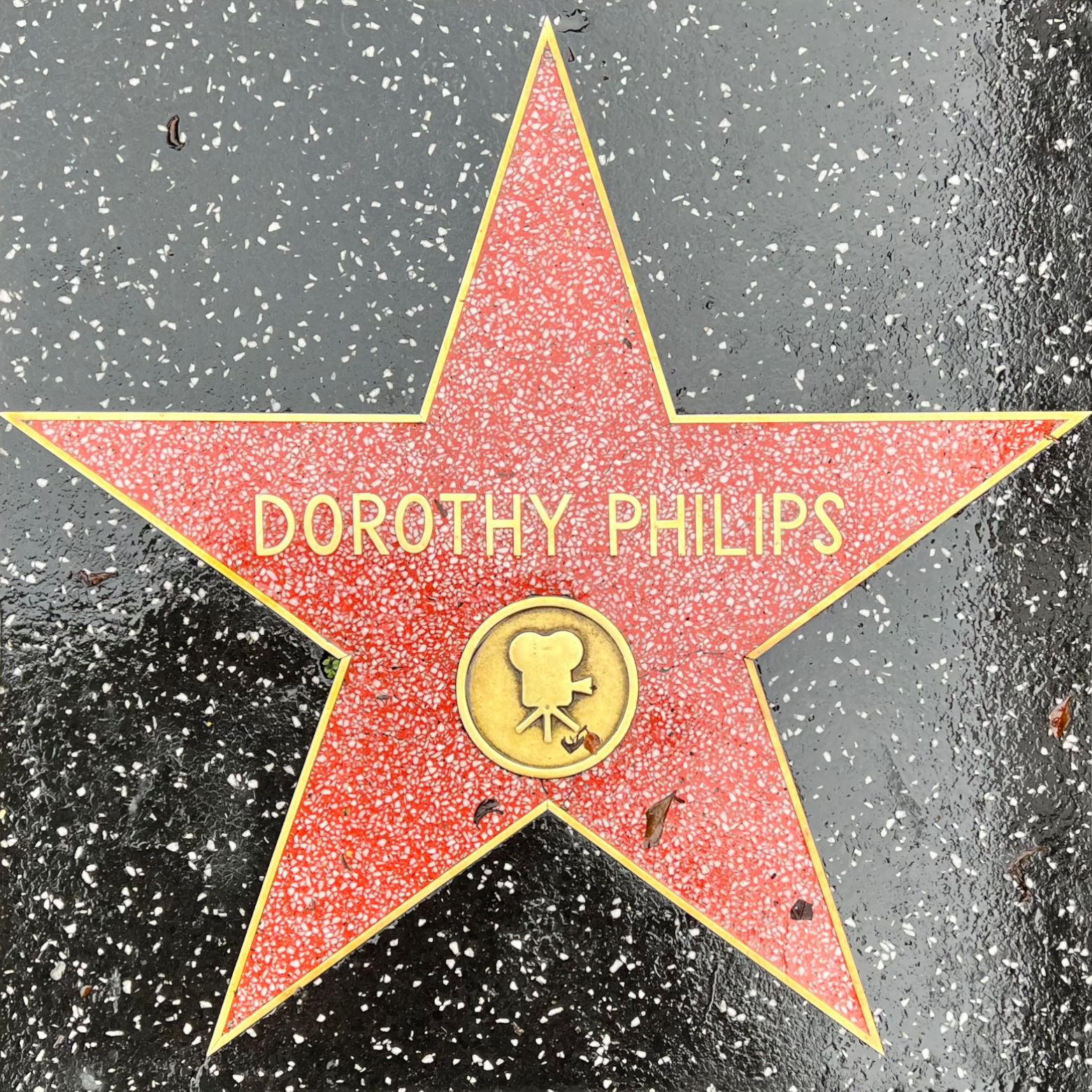 Dorothy Phillips's Motion Pictures Star Dorothy Phillips's Motion Pictures Star