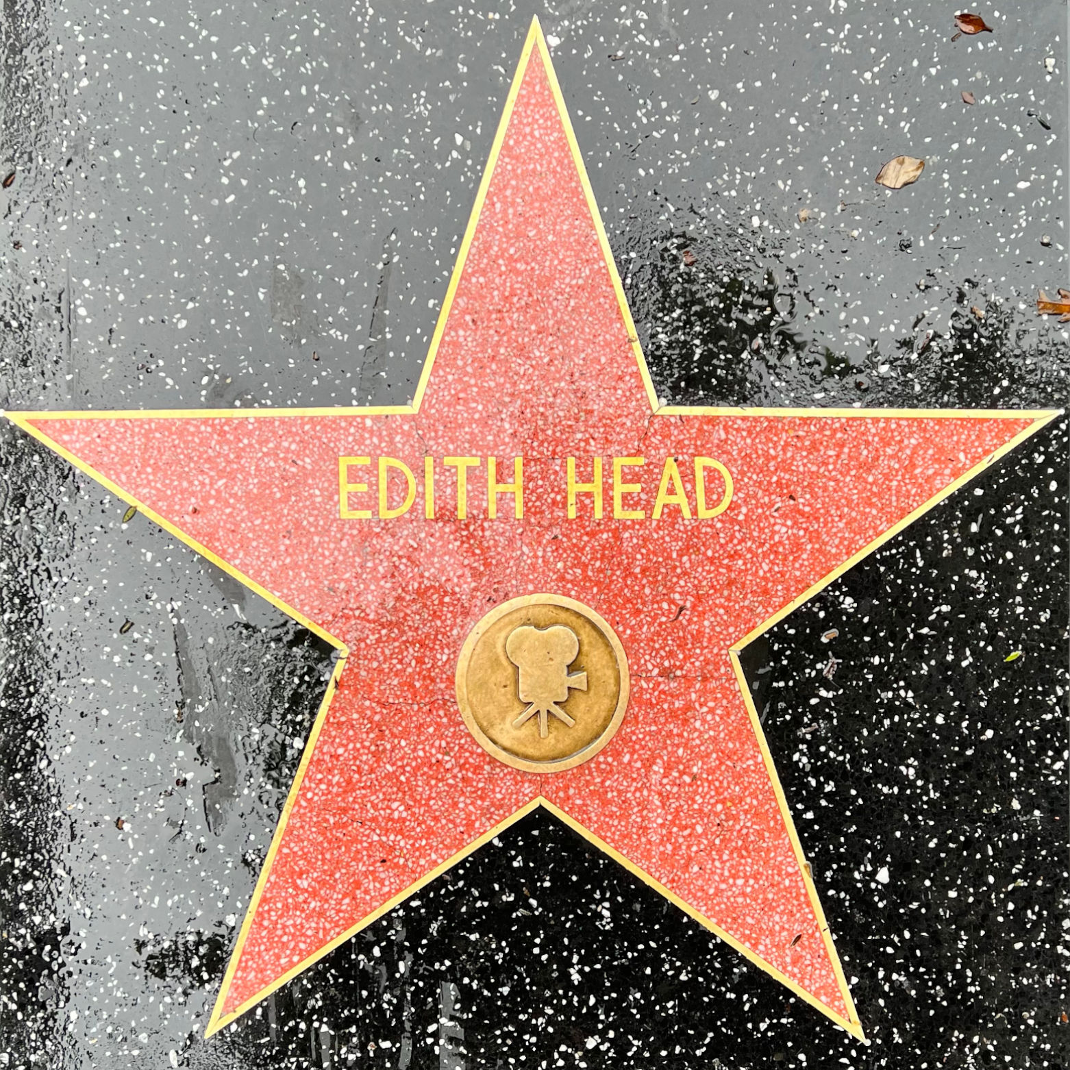 Edith Head's Motion Pictures Star