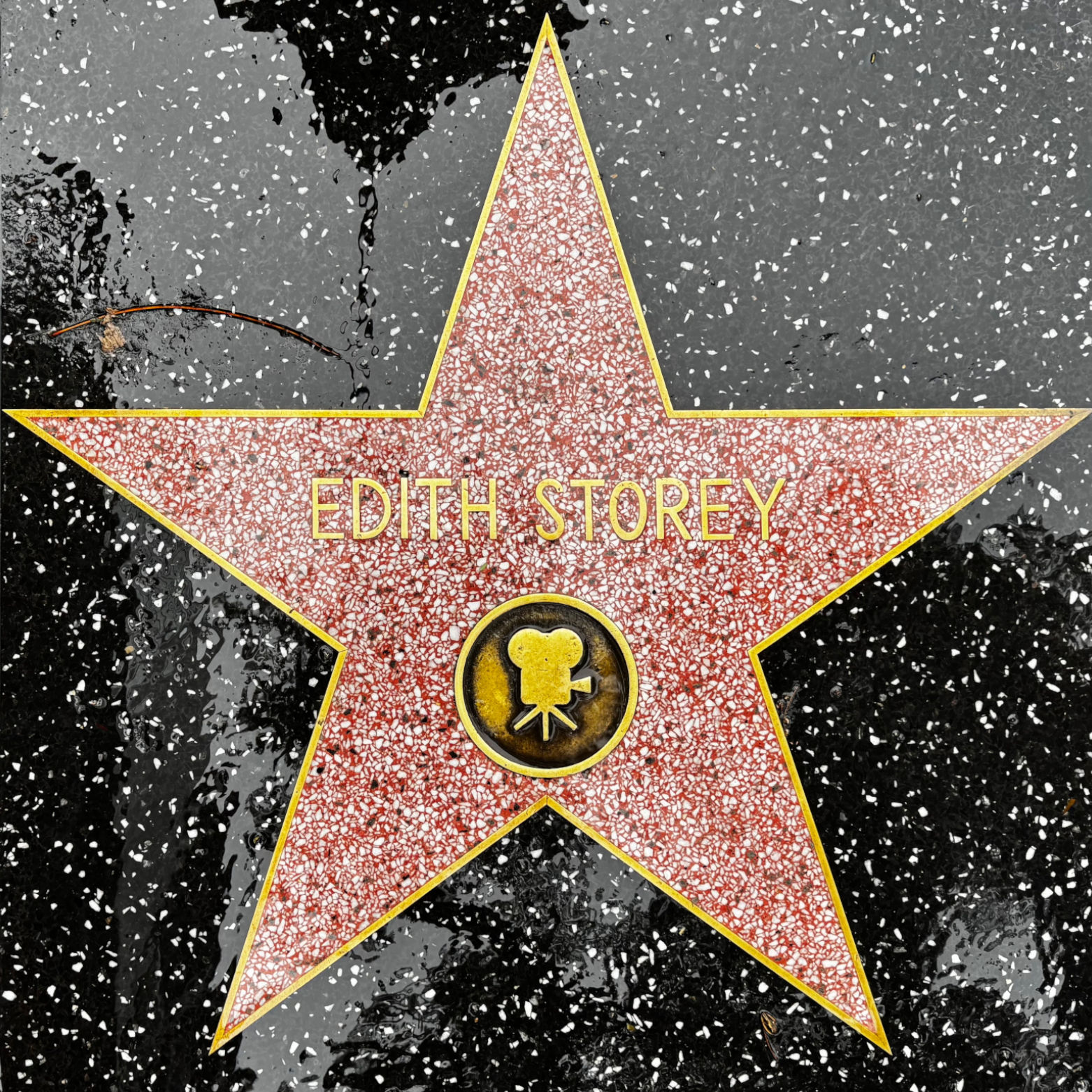 Edith Storey's Motion Pictures Star Edith Storey's Motion Pictures Star