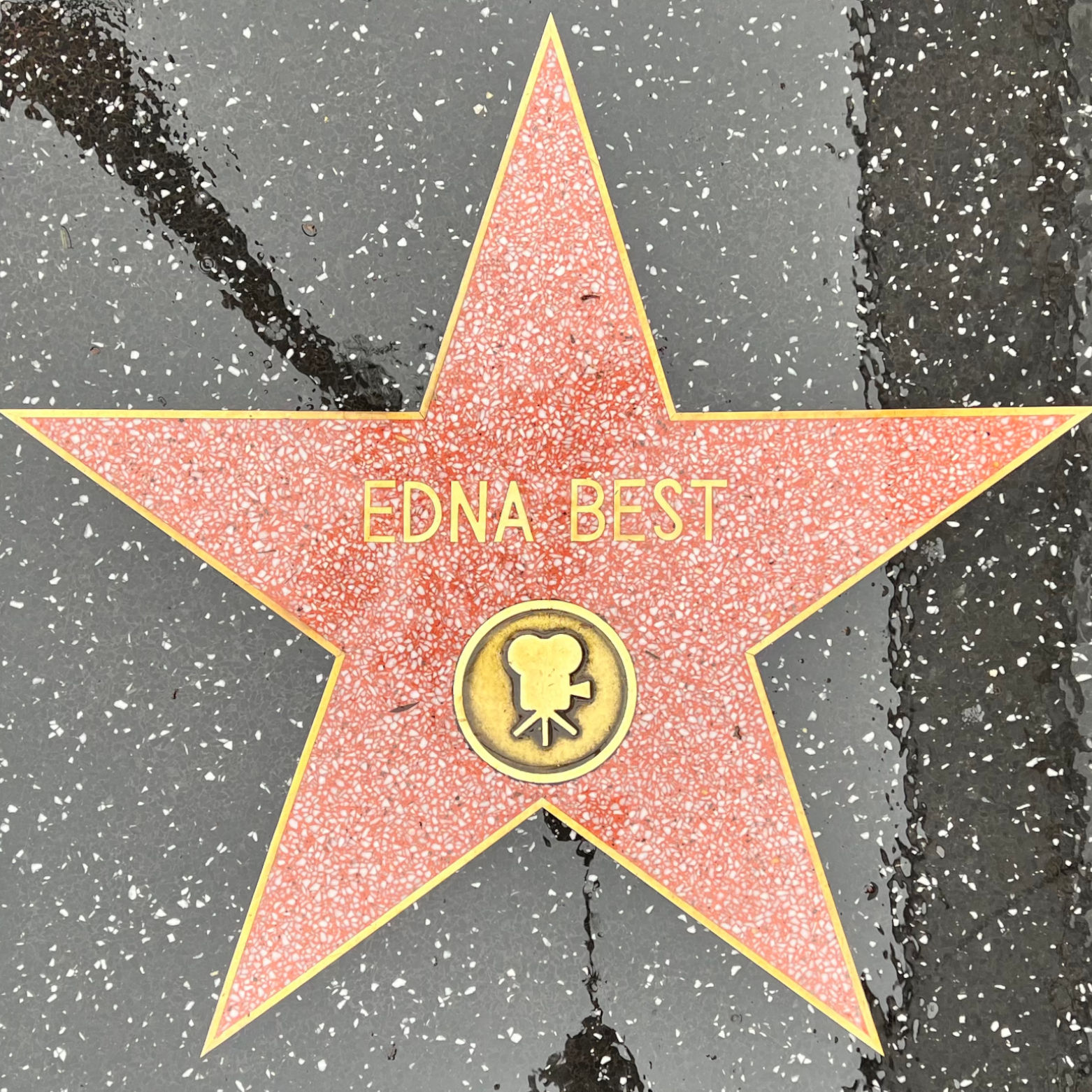 Edna Best's Motion Pictures Star