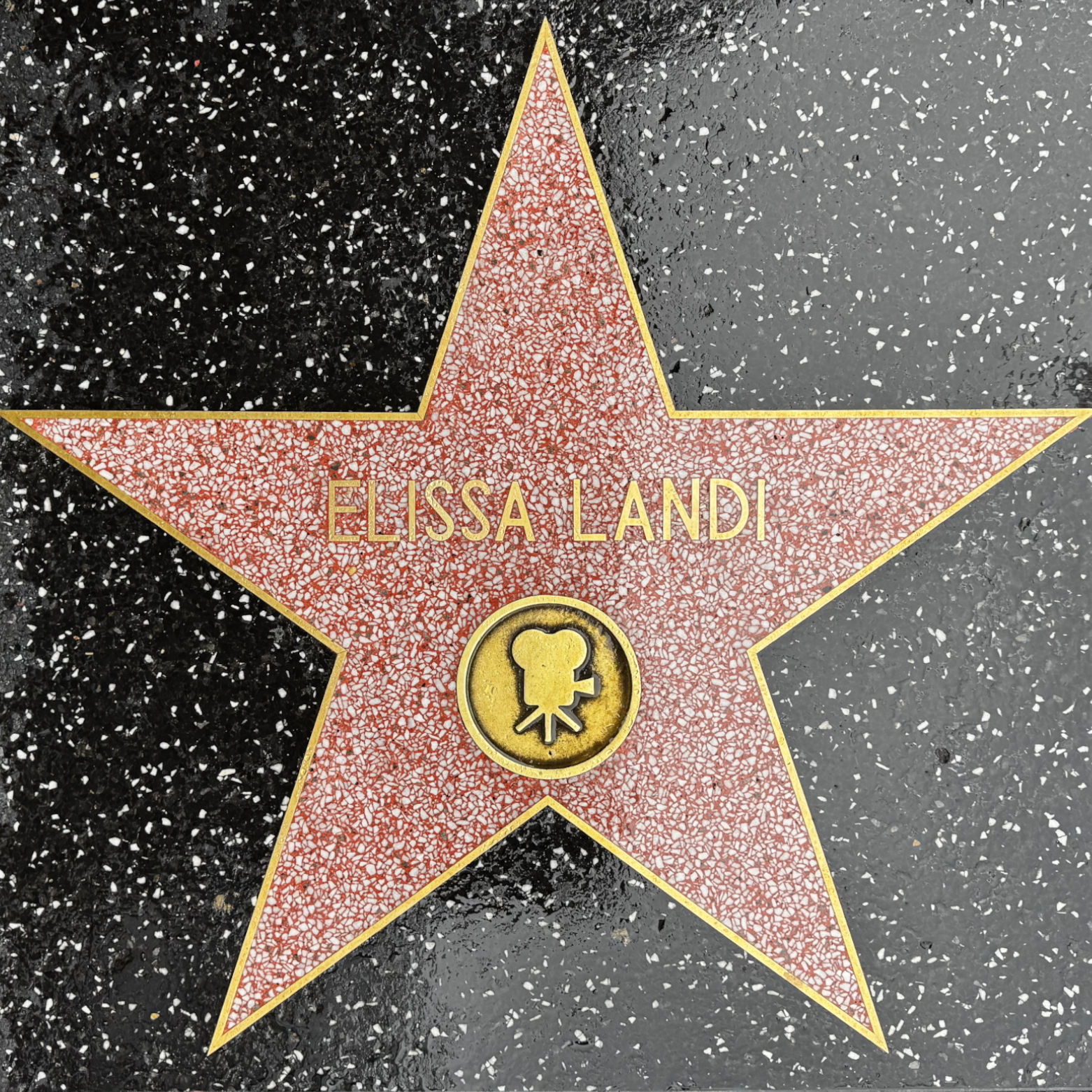 Elissa Landi's Motion Pictures Star Elissa Landi's Motion Pictures Star