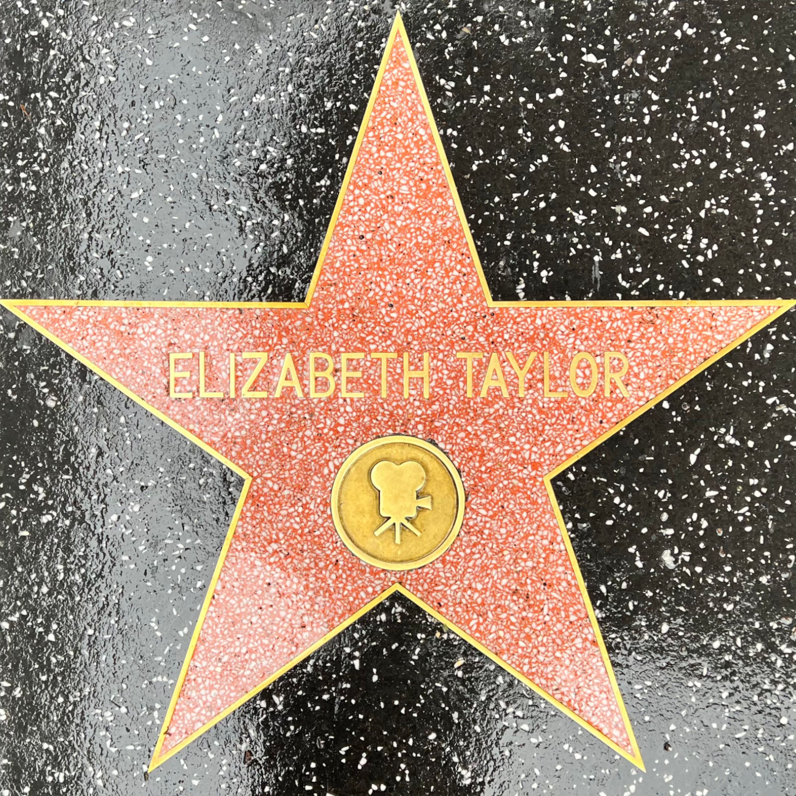Elizabeth Taylor's Motion Pictures Star