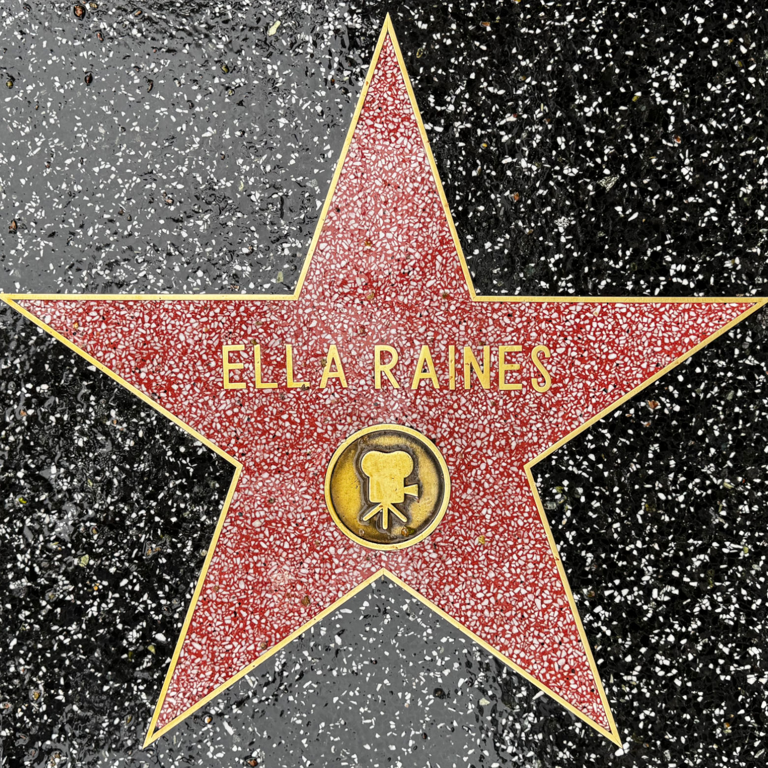 Ella Raines's Motion Pictures Star Ella Raines's Motion Pictures Star