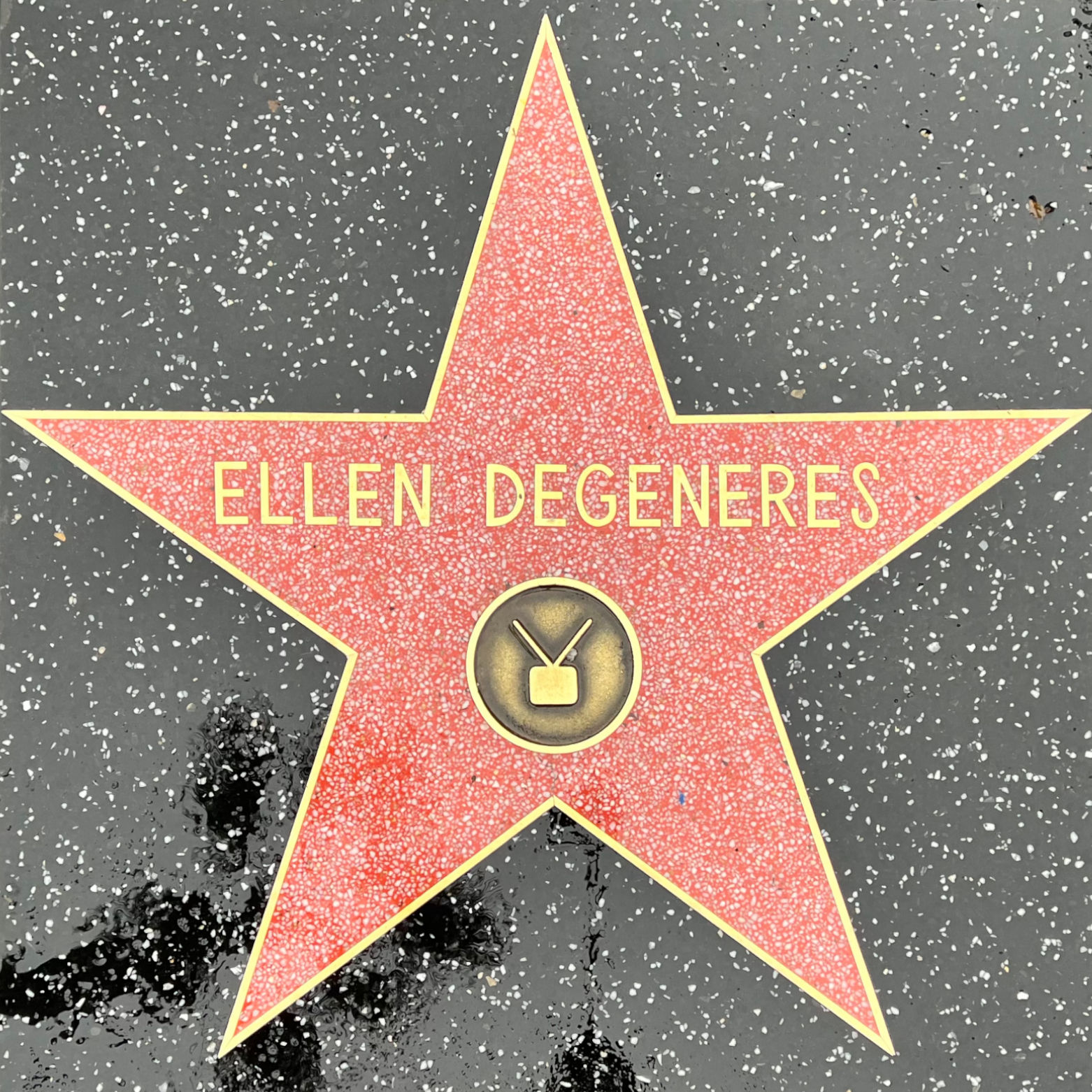 Ellen DeGeneres's Television Star