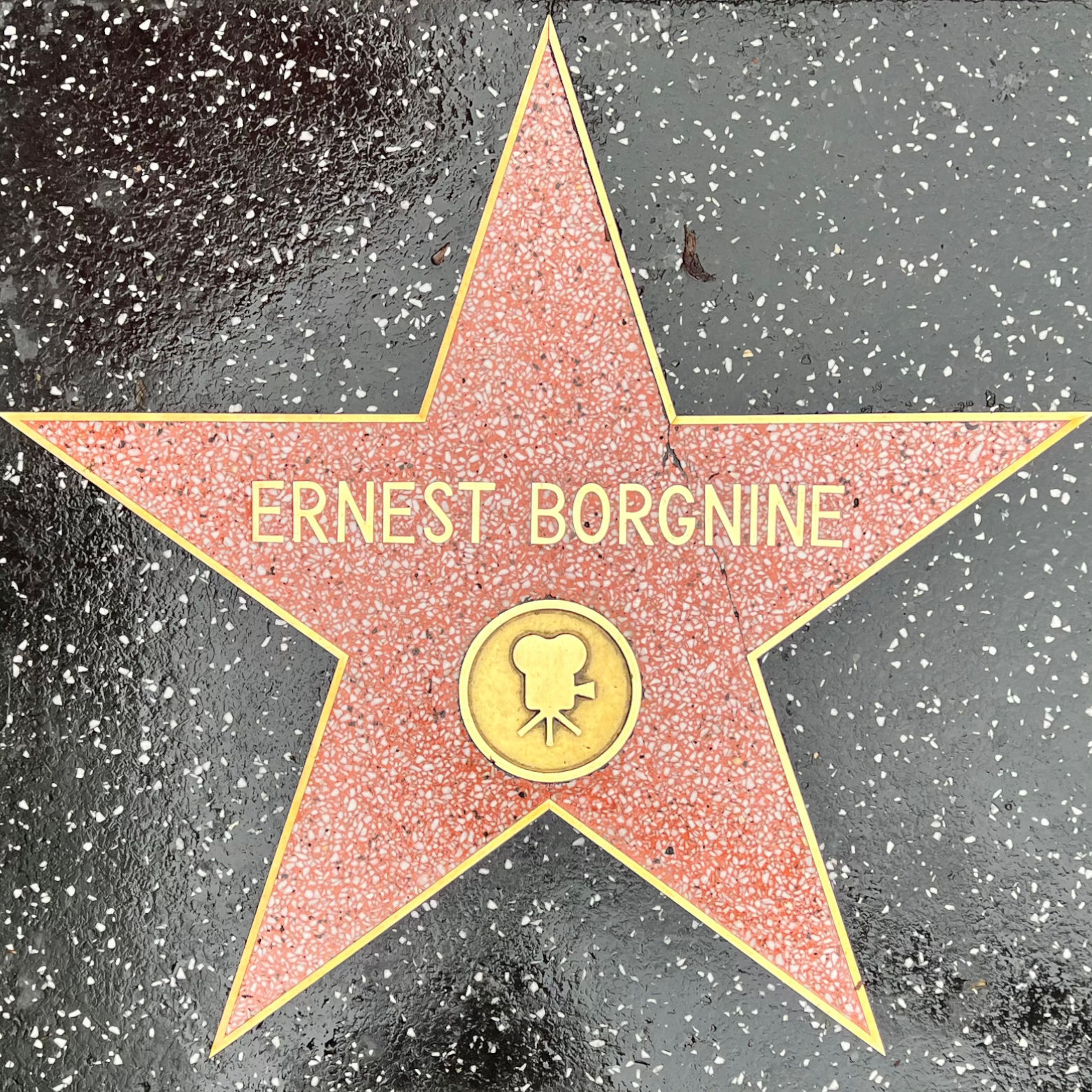 Ernest Borgnine's Motion Pictures Star