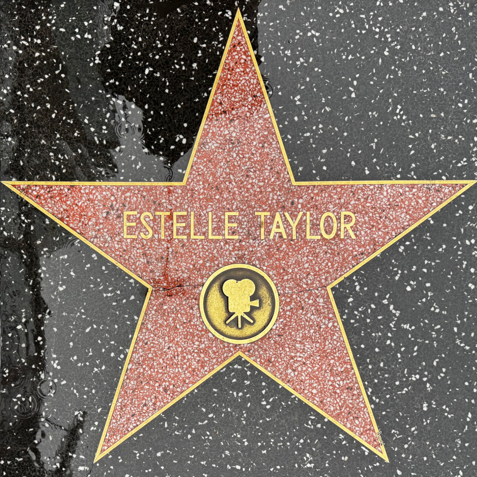 Estelle Taylor's Motion Pictures Star