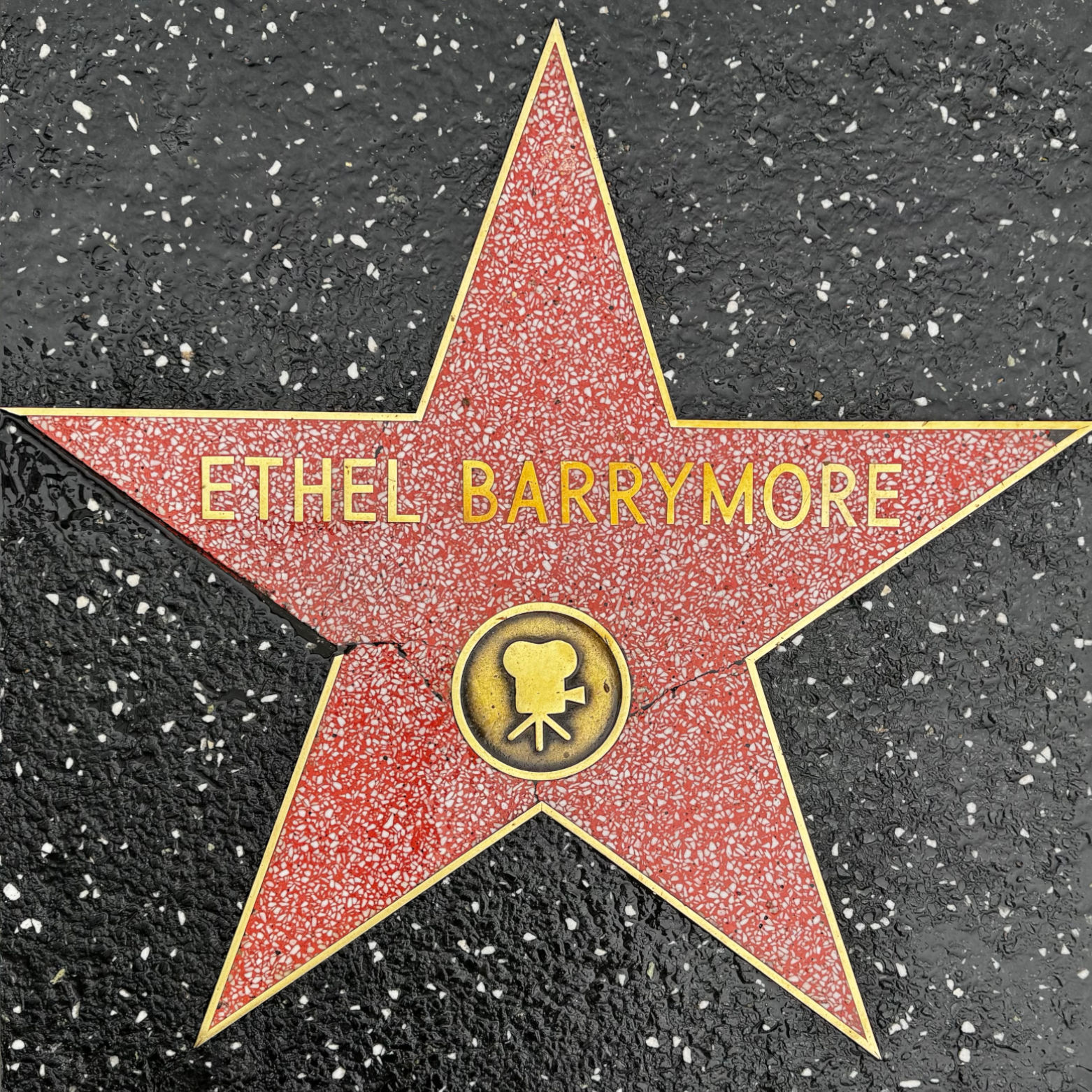 Ethel Barrymore's Motion Pictures Star Ethel Barrymore's Motion Pictures Star
