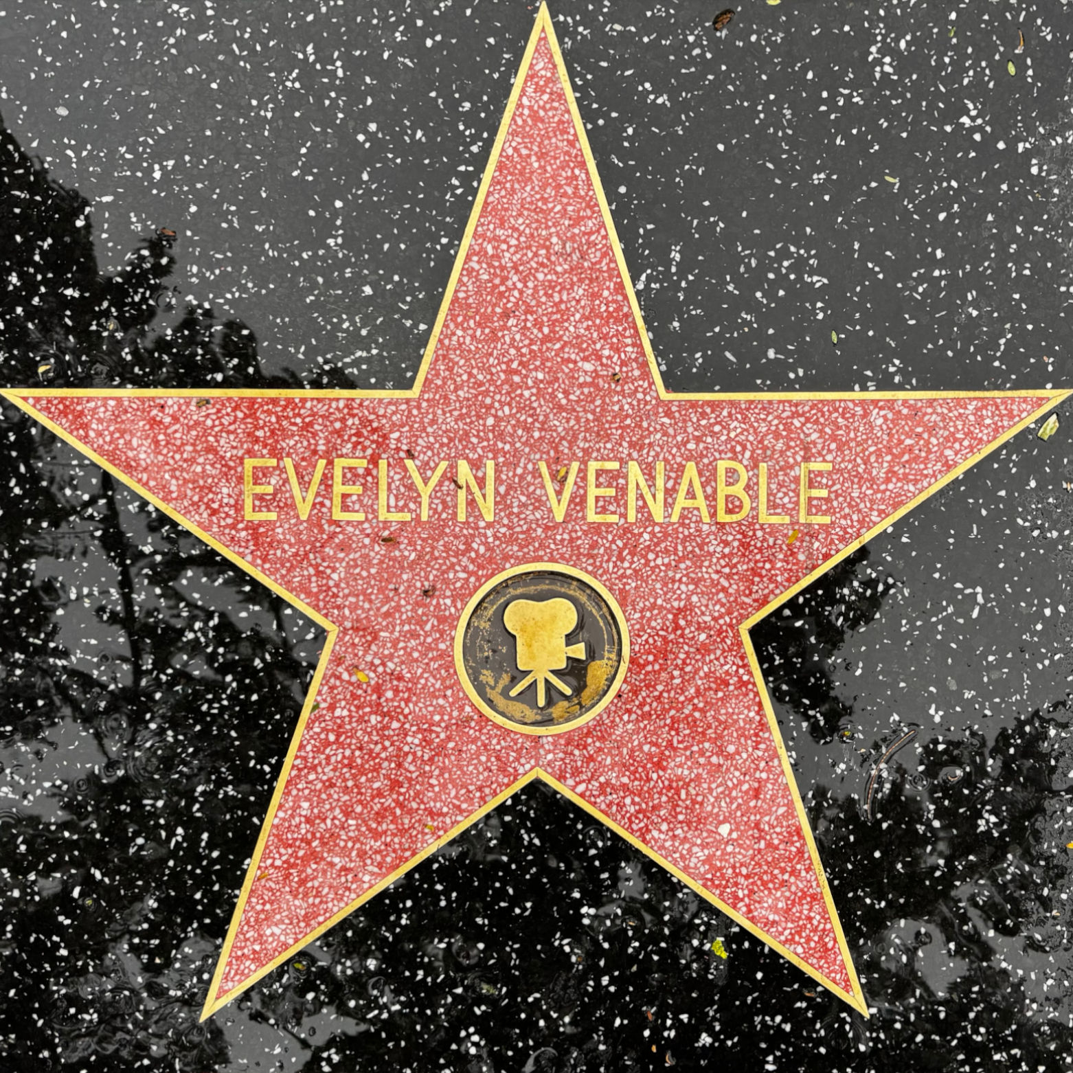 Evelyn Venable's Motion Pictures Star
