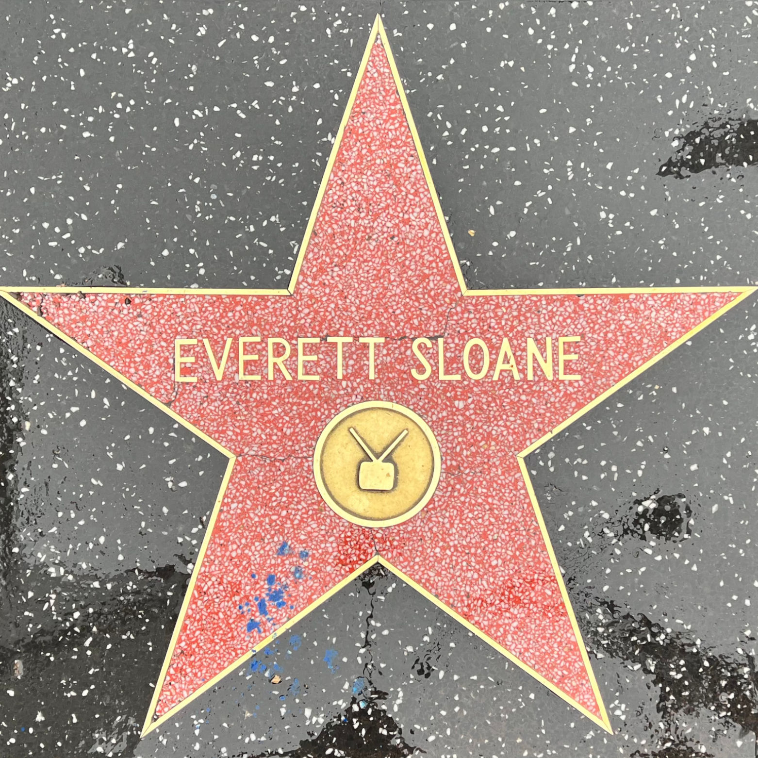 Everett Sloane's Television Star