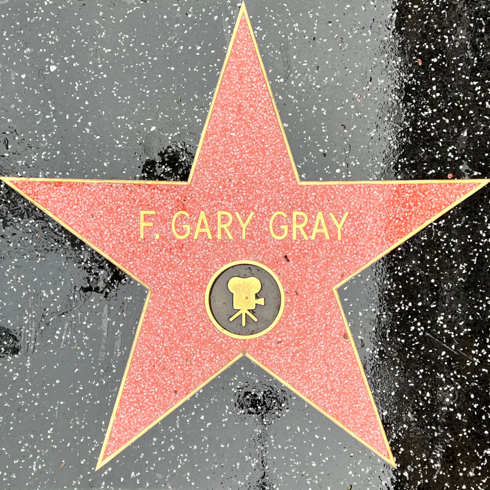F. Gary Gray's Motion Pictures Star