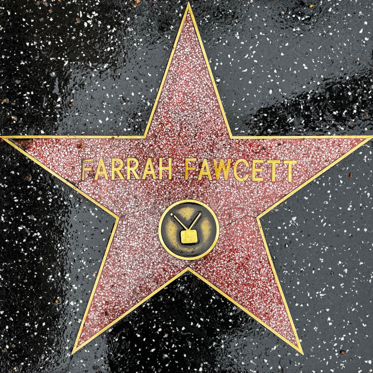 Farrah Fawcett's Television Star Farrah Fawcett's Television Star