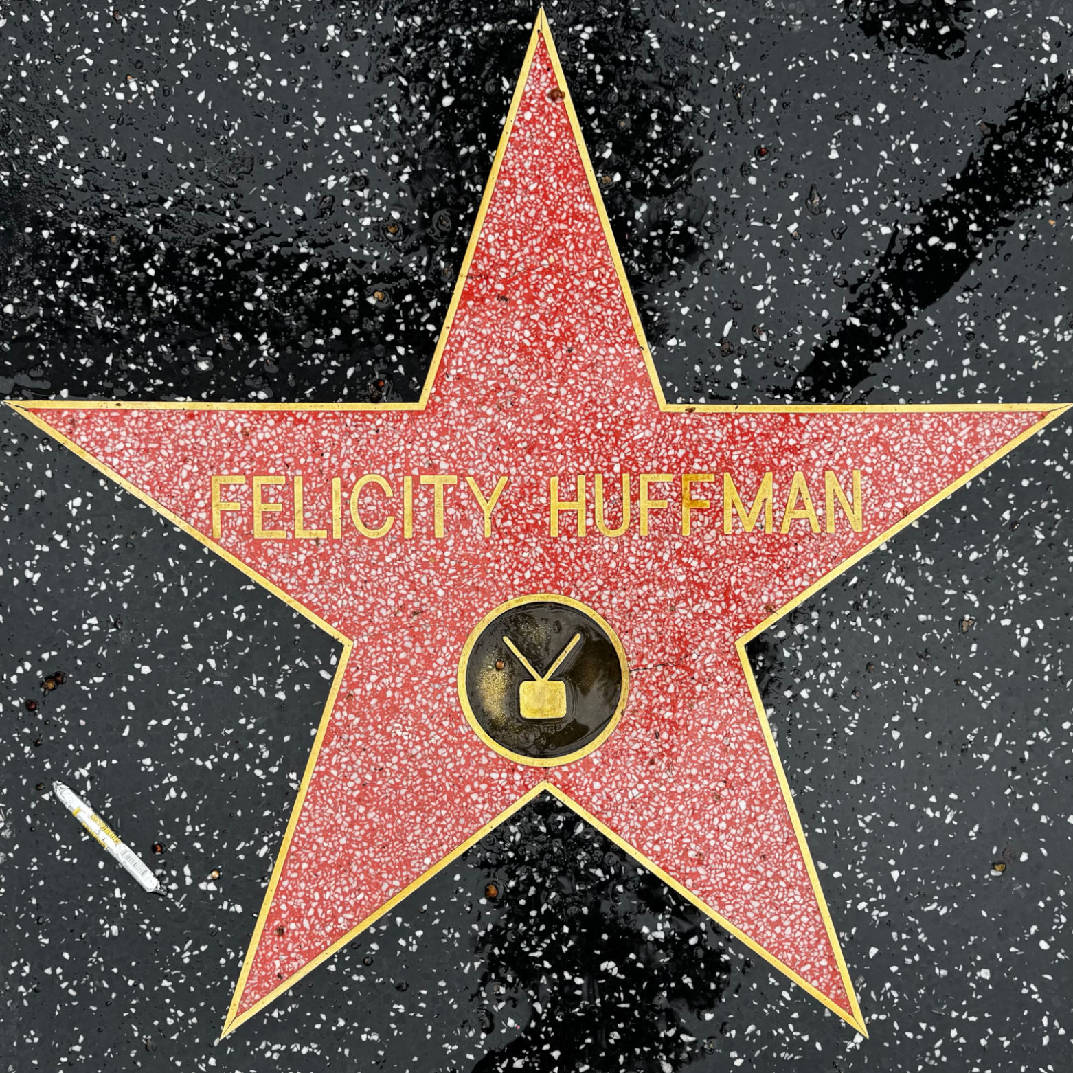 Felicity Huffman's Television Star Felicity Huffman's Television Star
