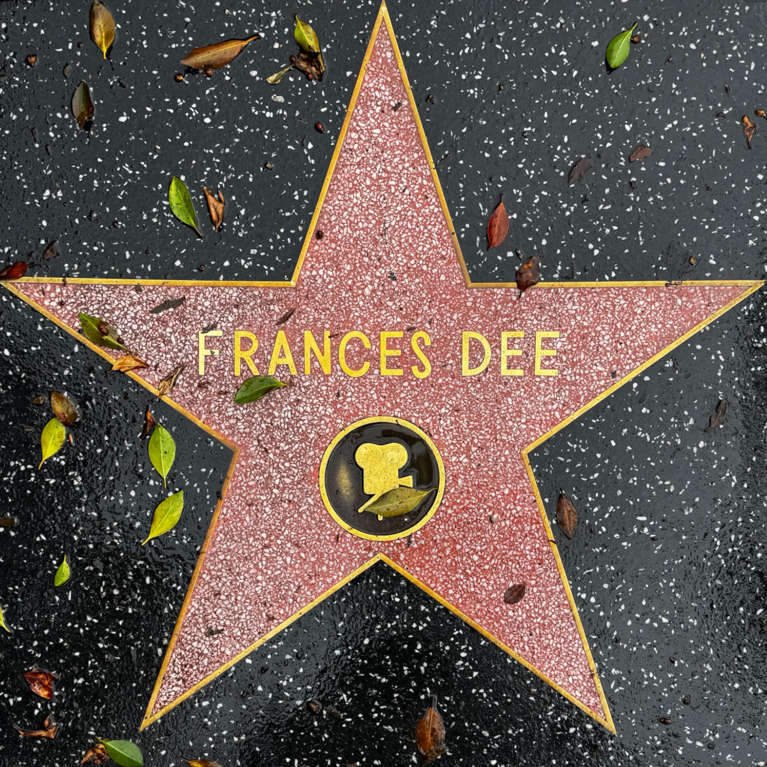 Frances Dee's Motion Pictures Star Frances Dee's Motion Pictures Star