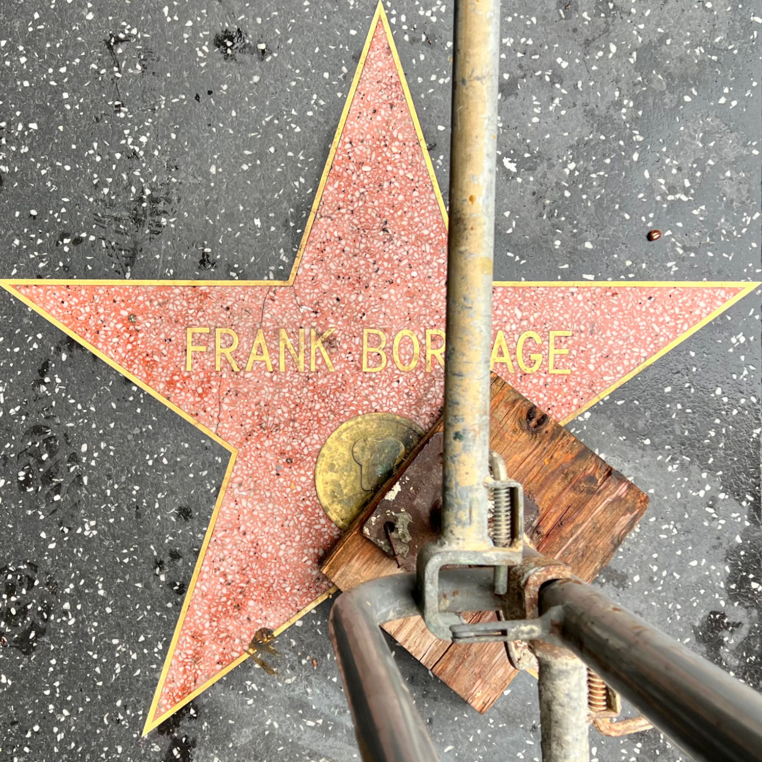 Frank Borzage's Motion Pictures Star