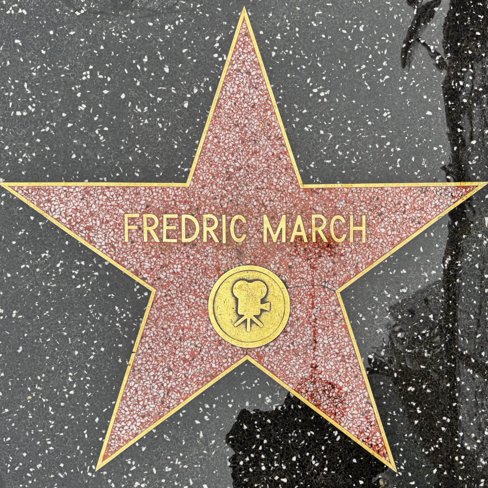 Fredric March's Motion Pictures Star Fredric March's Motion Pictures Star