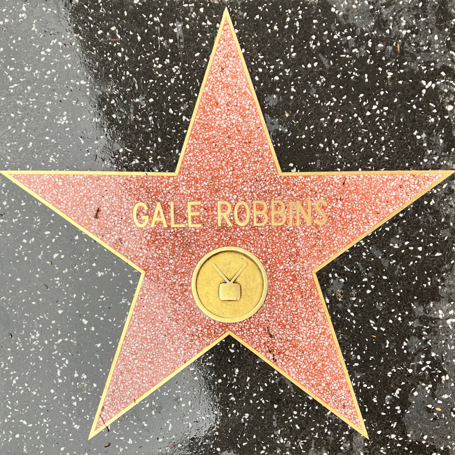 Gale Robbins's Television Star