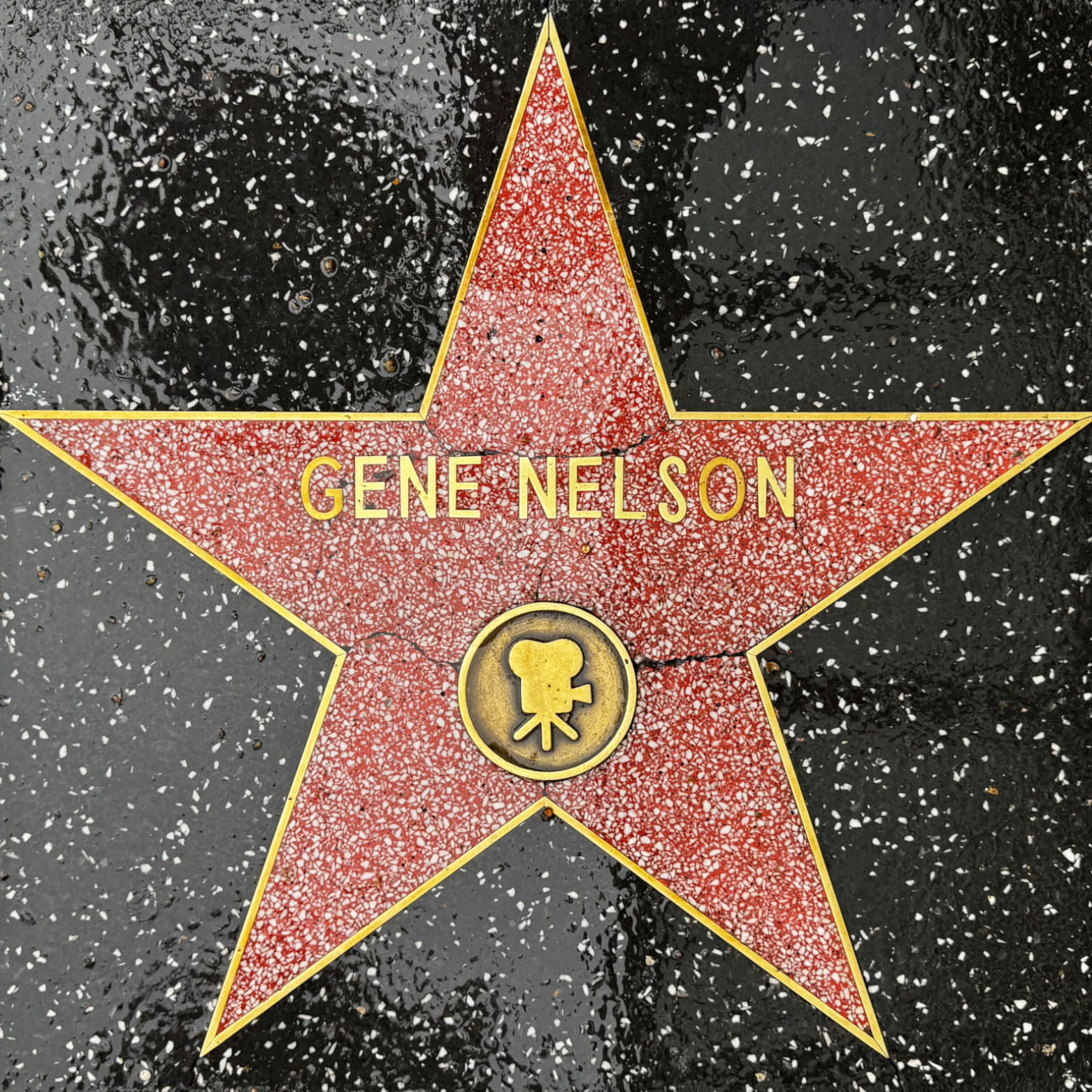 Gene Nelson's Motion Pictures Star Gene Nelson's Motion Pictures Star