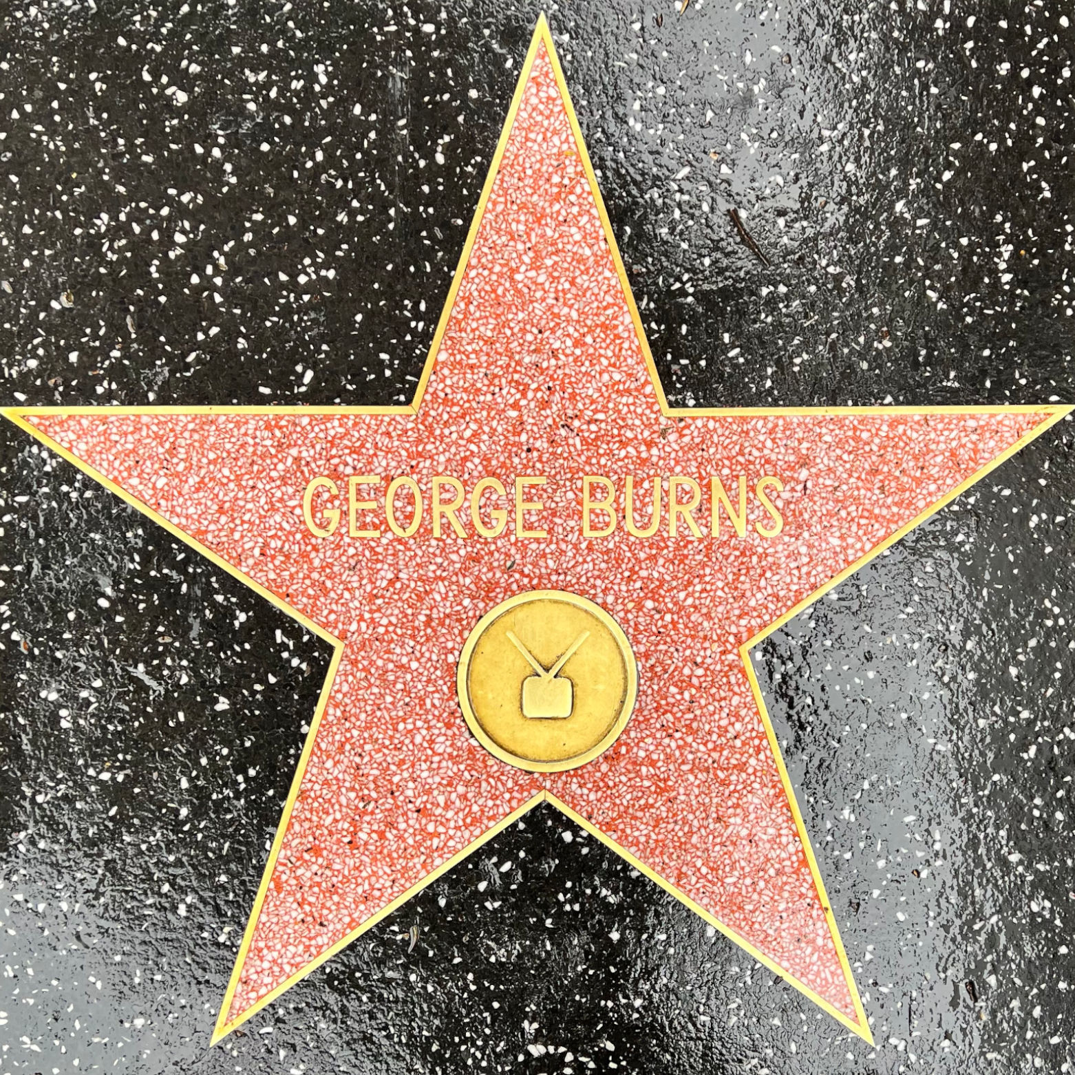 George Burns's Television Star