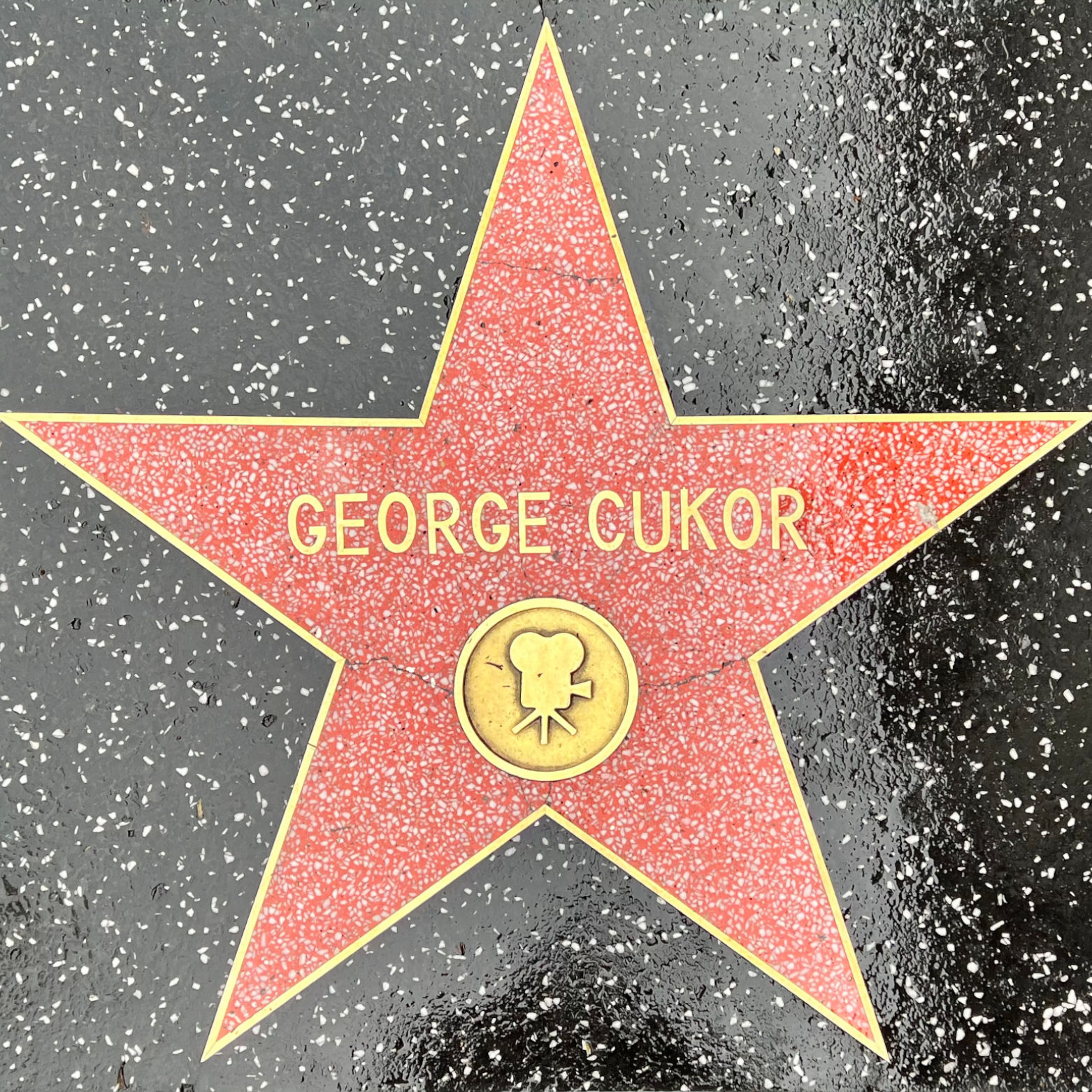 George Cukor's Motion Pictures Star