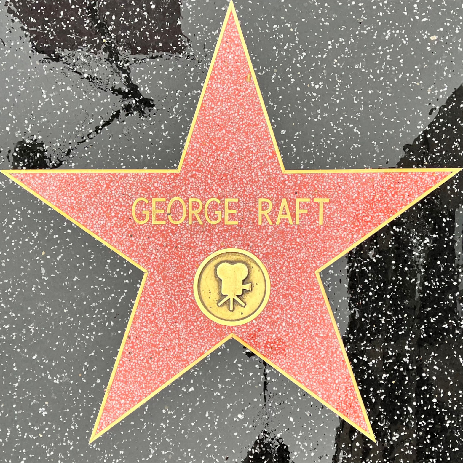 One of George Raft's Stars