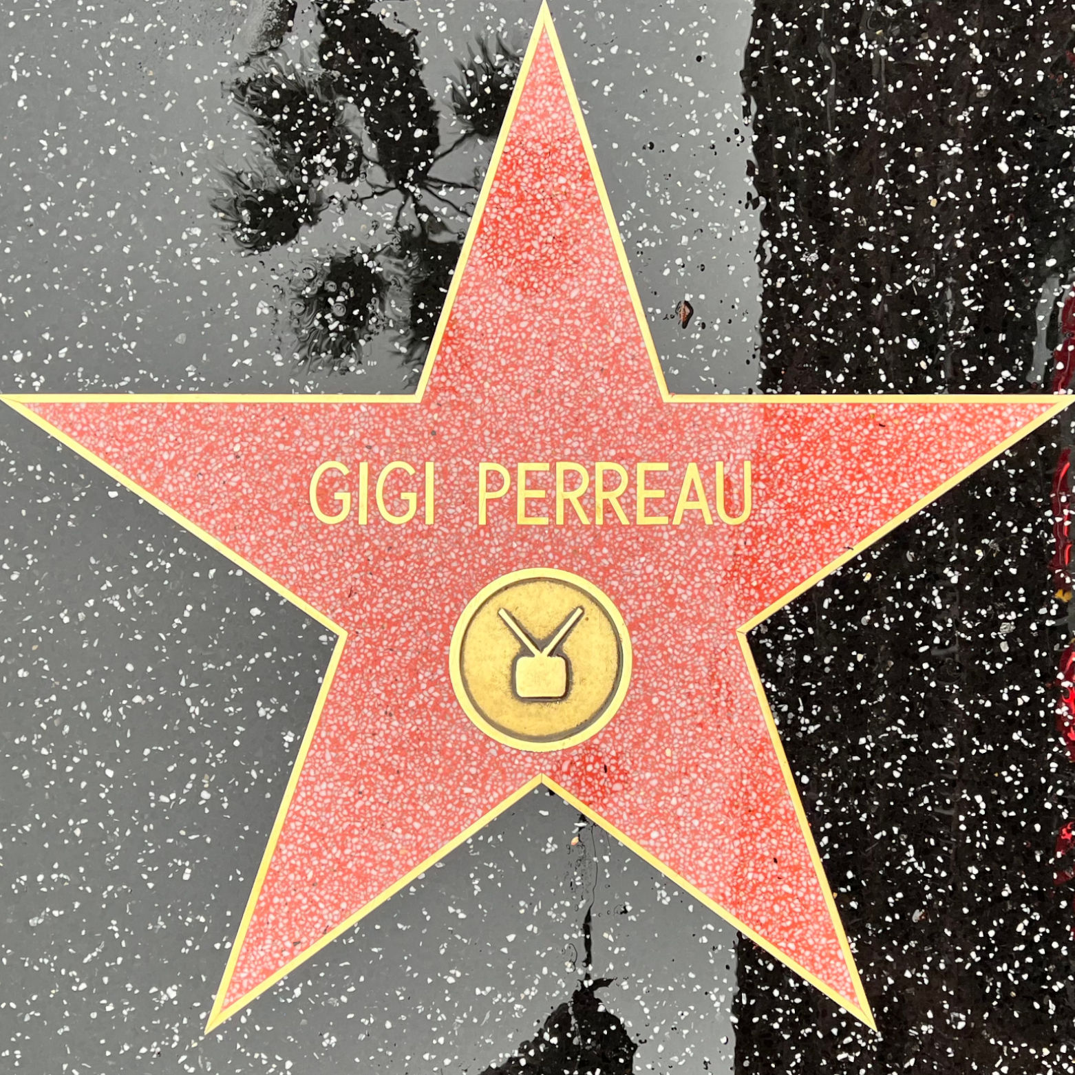 Gigi Perreau's Television Star