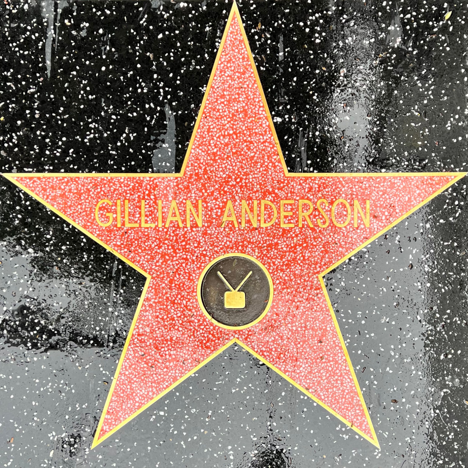 Gillian Anderson's Television Star