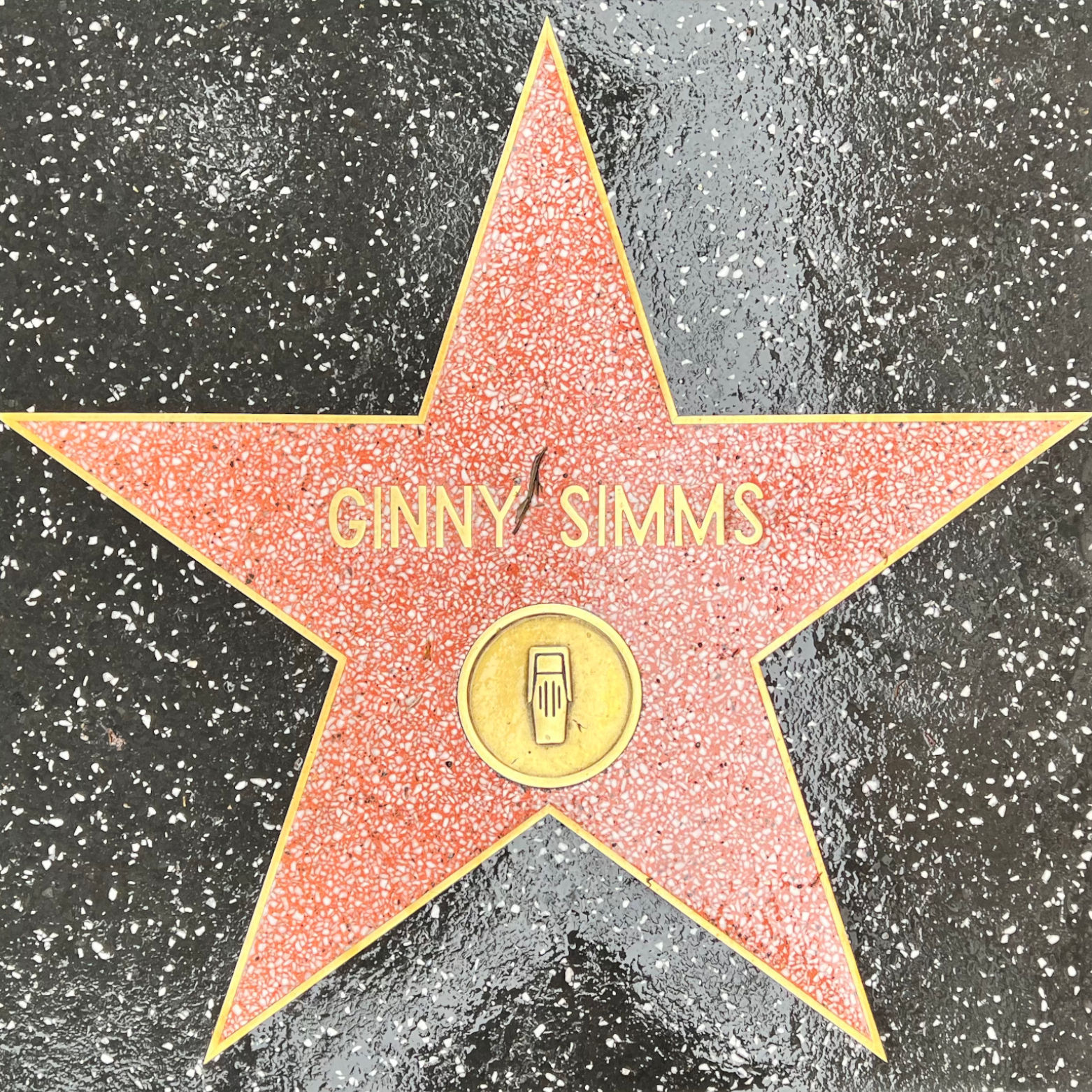 Ginny Simms's Radio Star