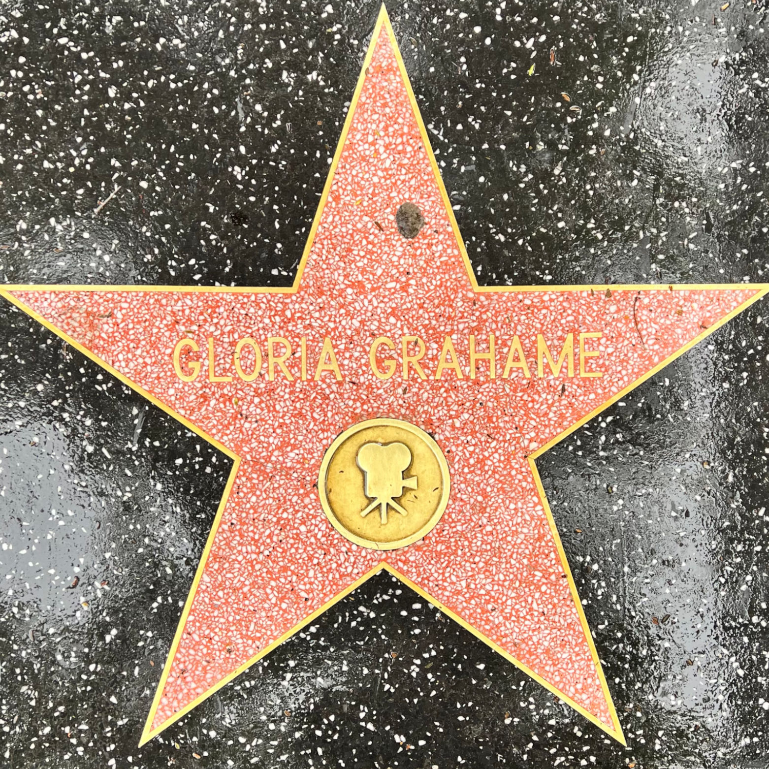 Gloria Grahame's Motion Pictures Star